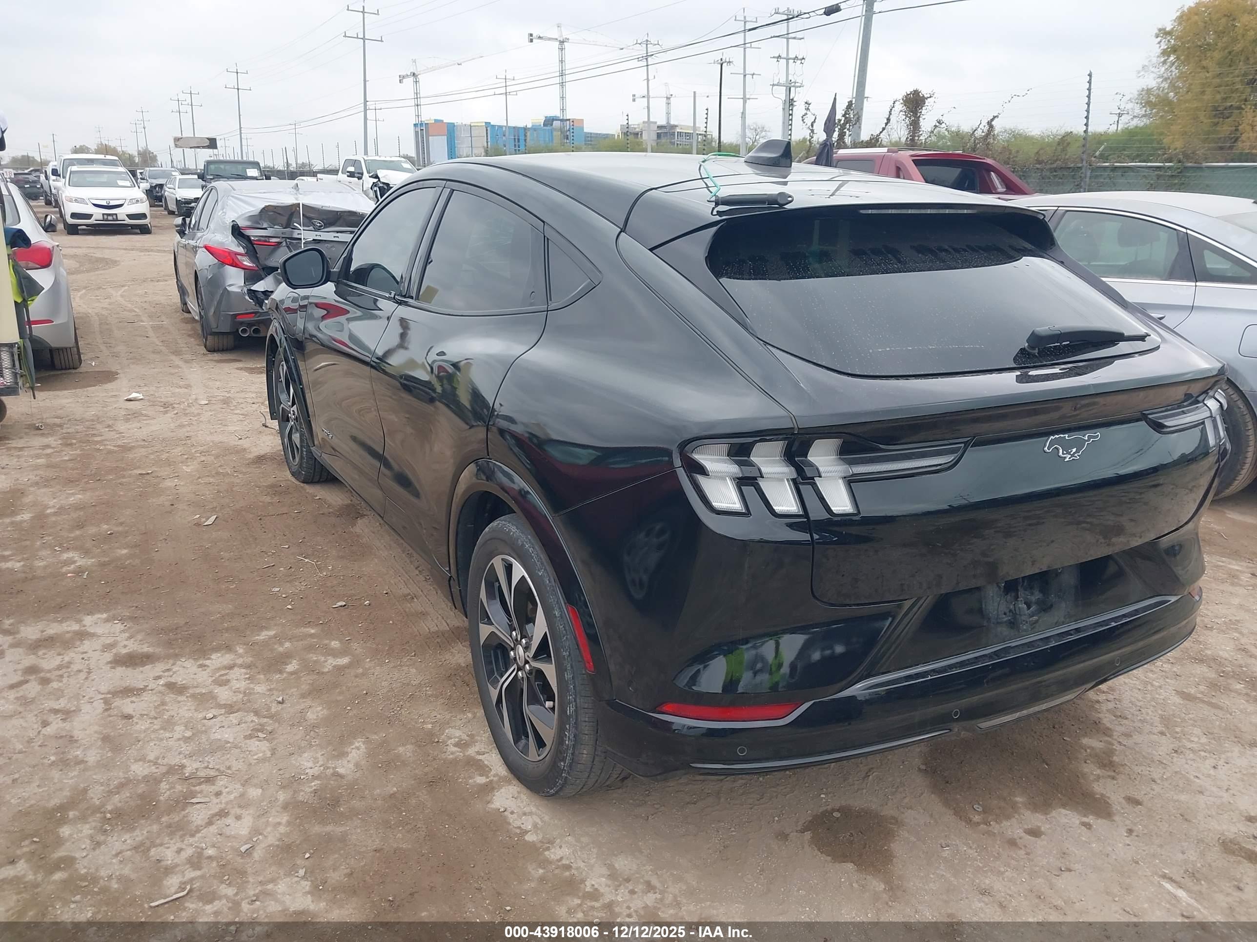 FORD MUSTANG image 3