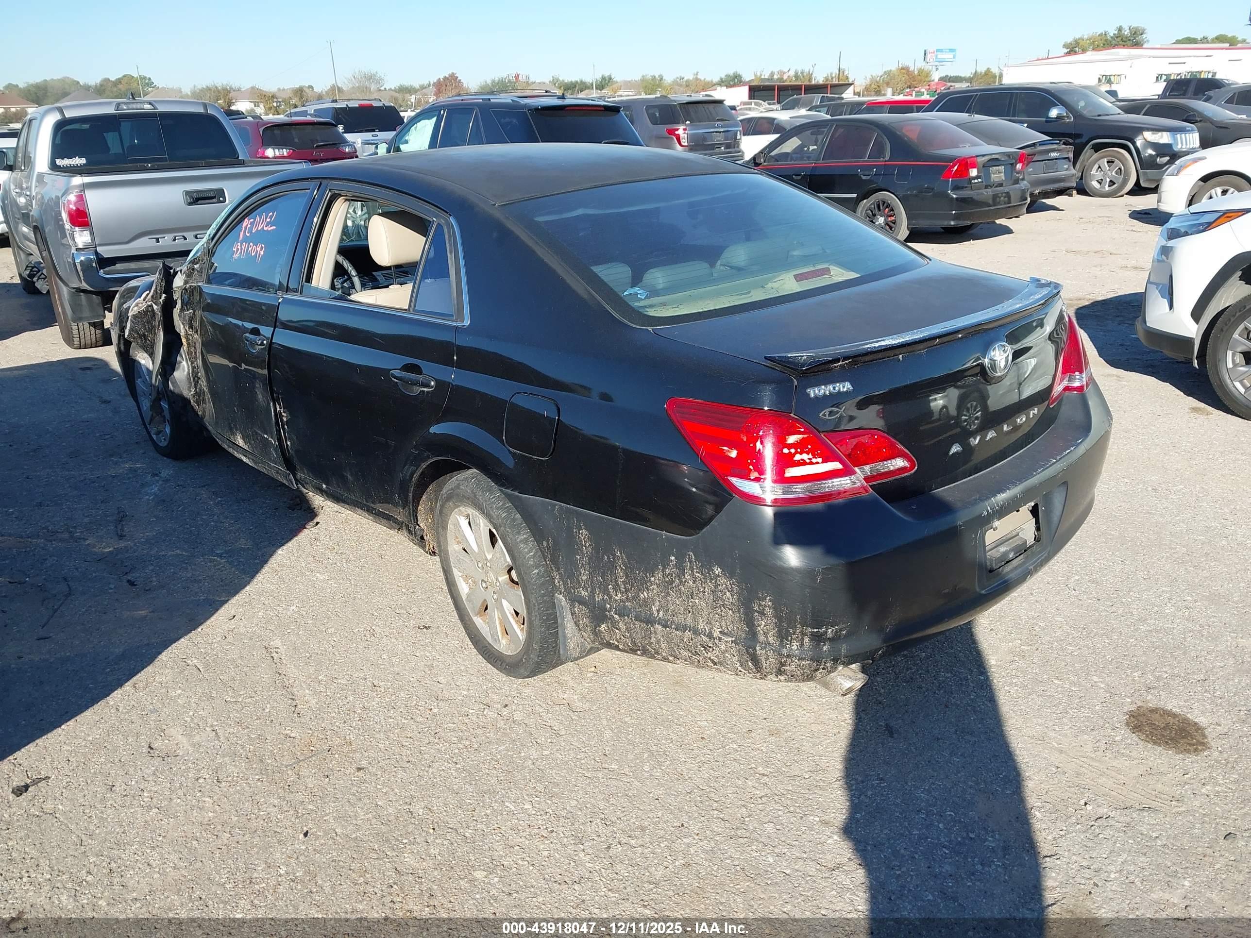 TOYOTA AVALON image 3