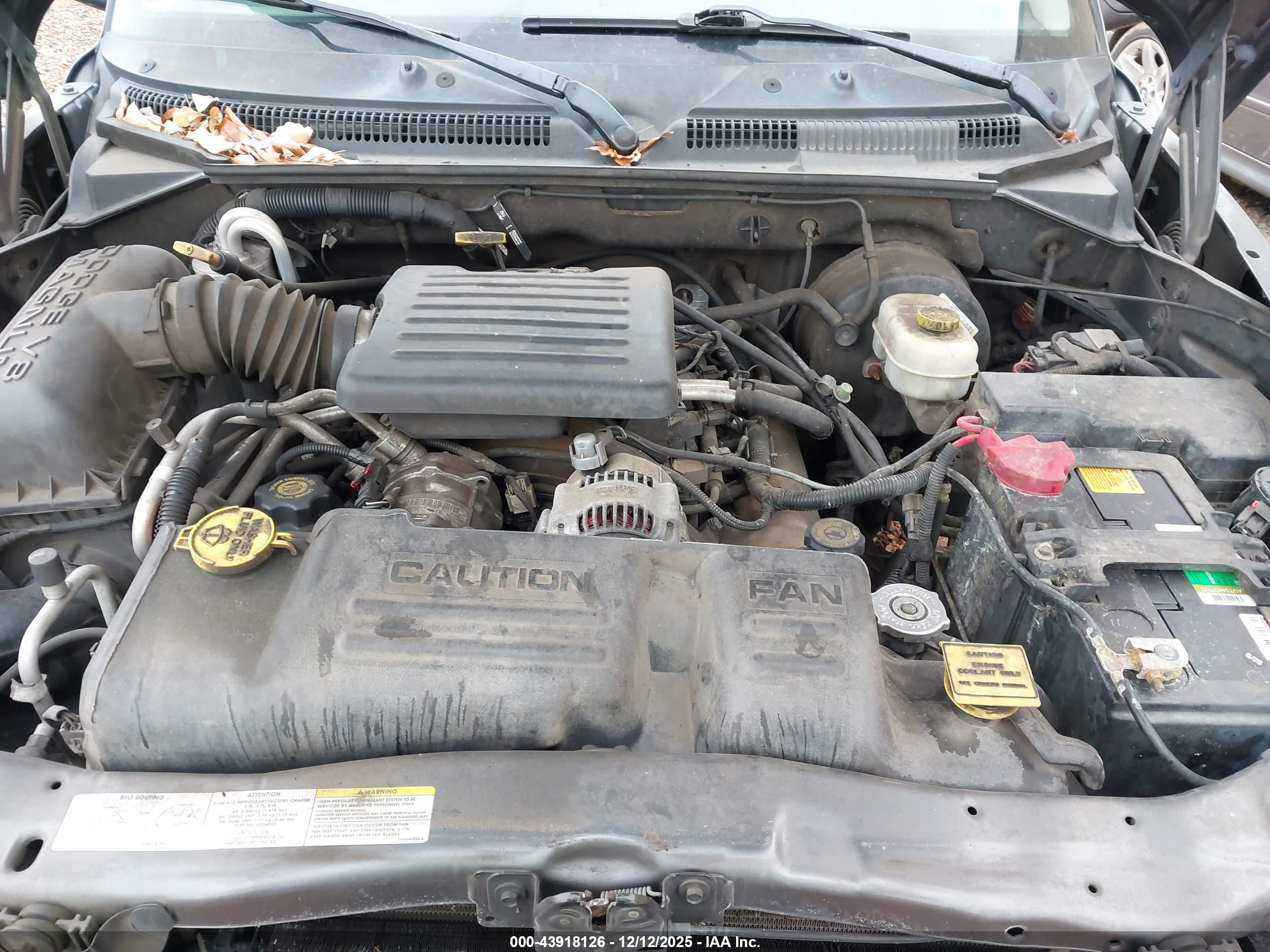 DODGE DAKOTA image 10