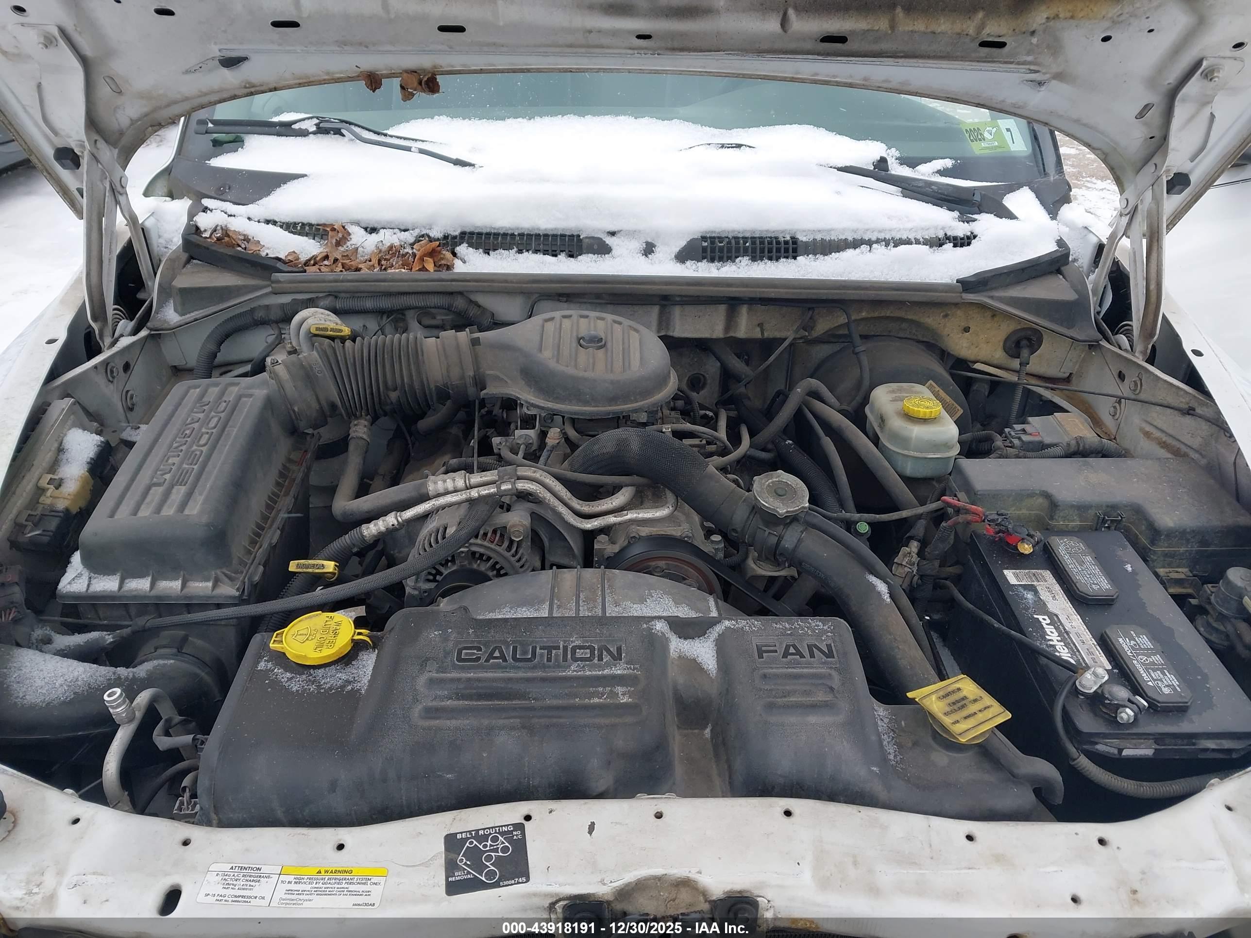 DODGE DAKOTA image 10