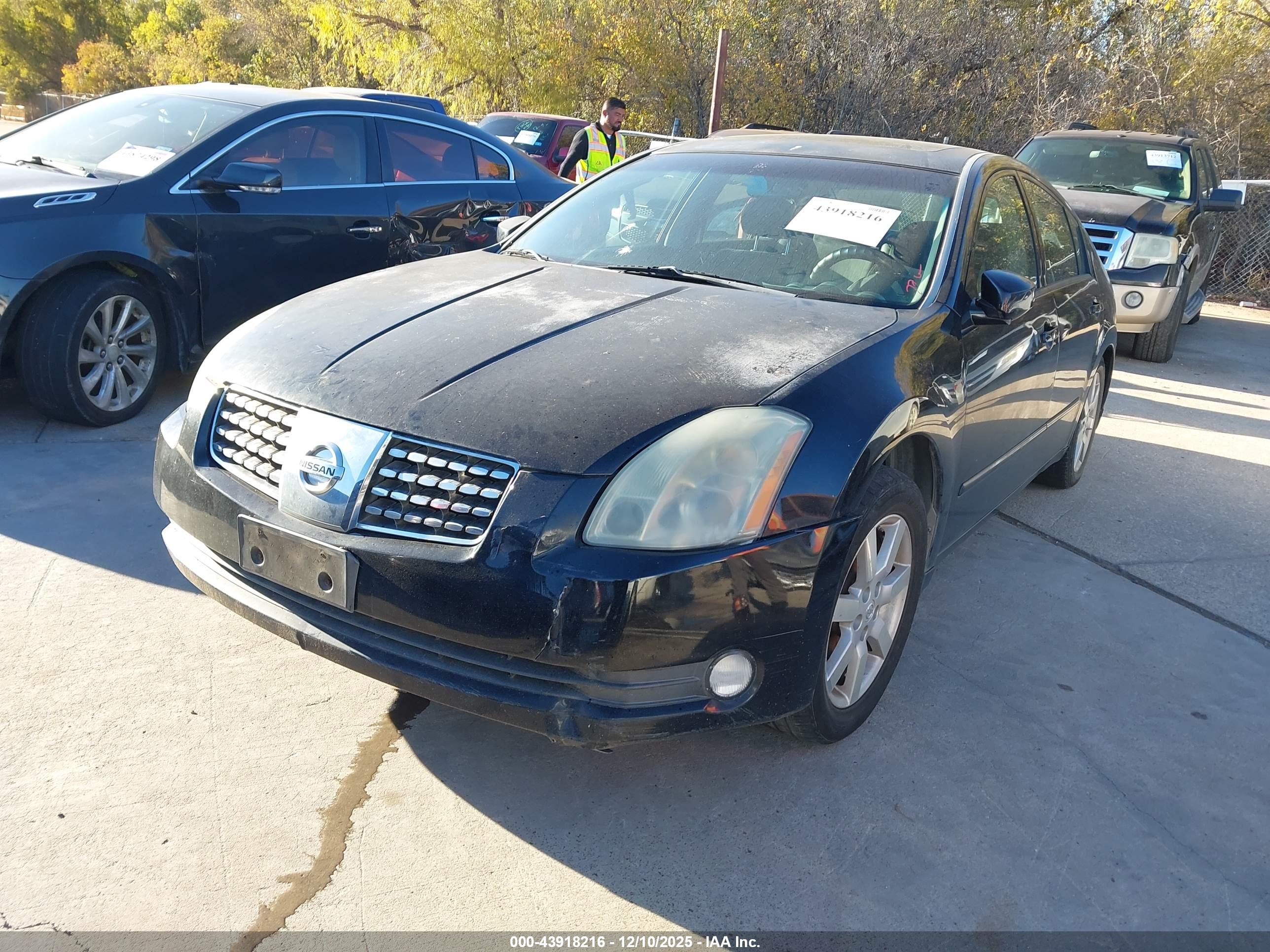 NISSAN MAXIMA image 2