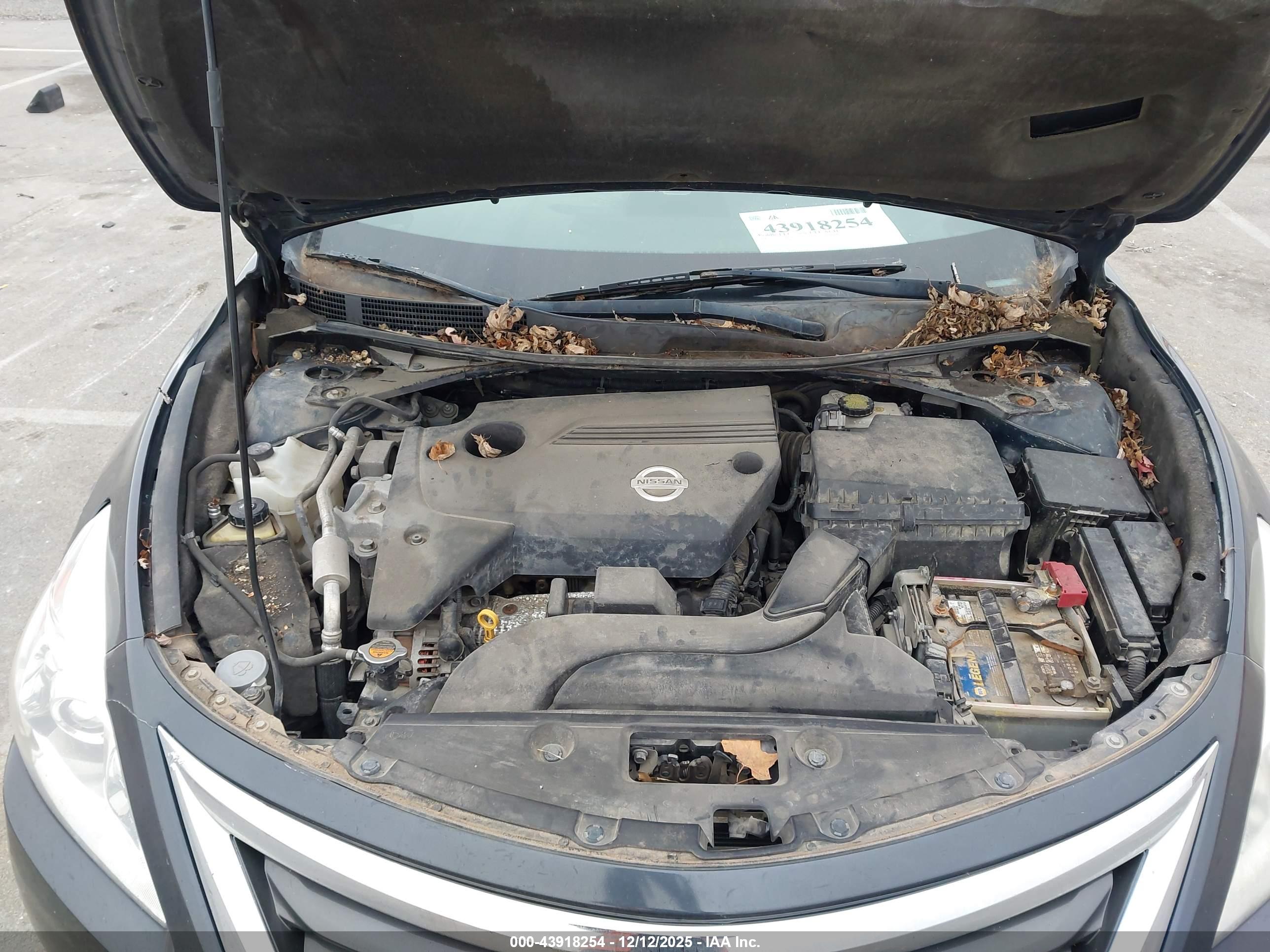 NISSAN ALTIMA image 10