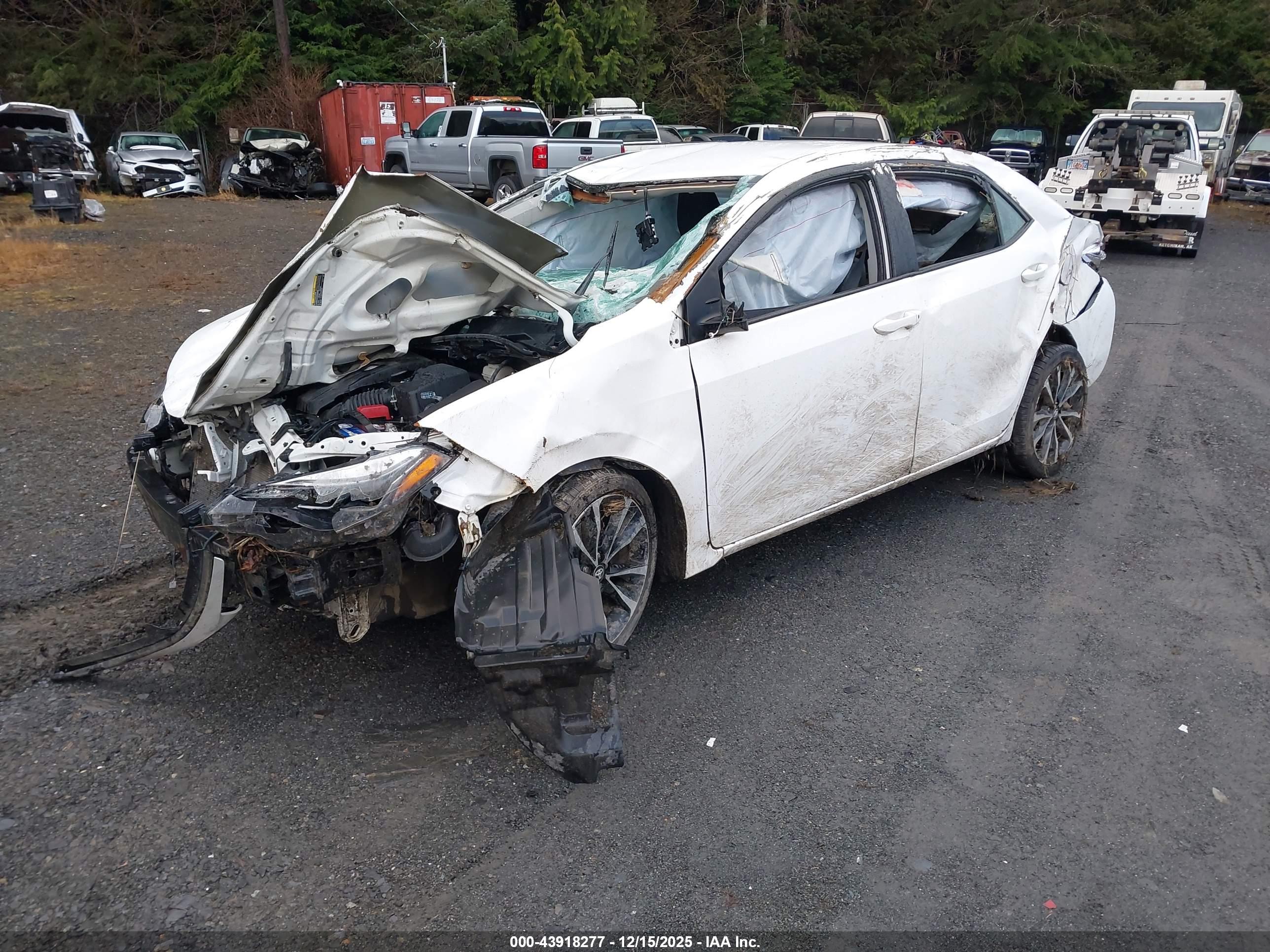 TOYOTA COROLLA image 2