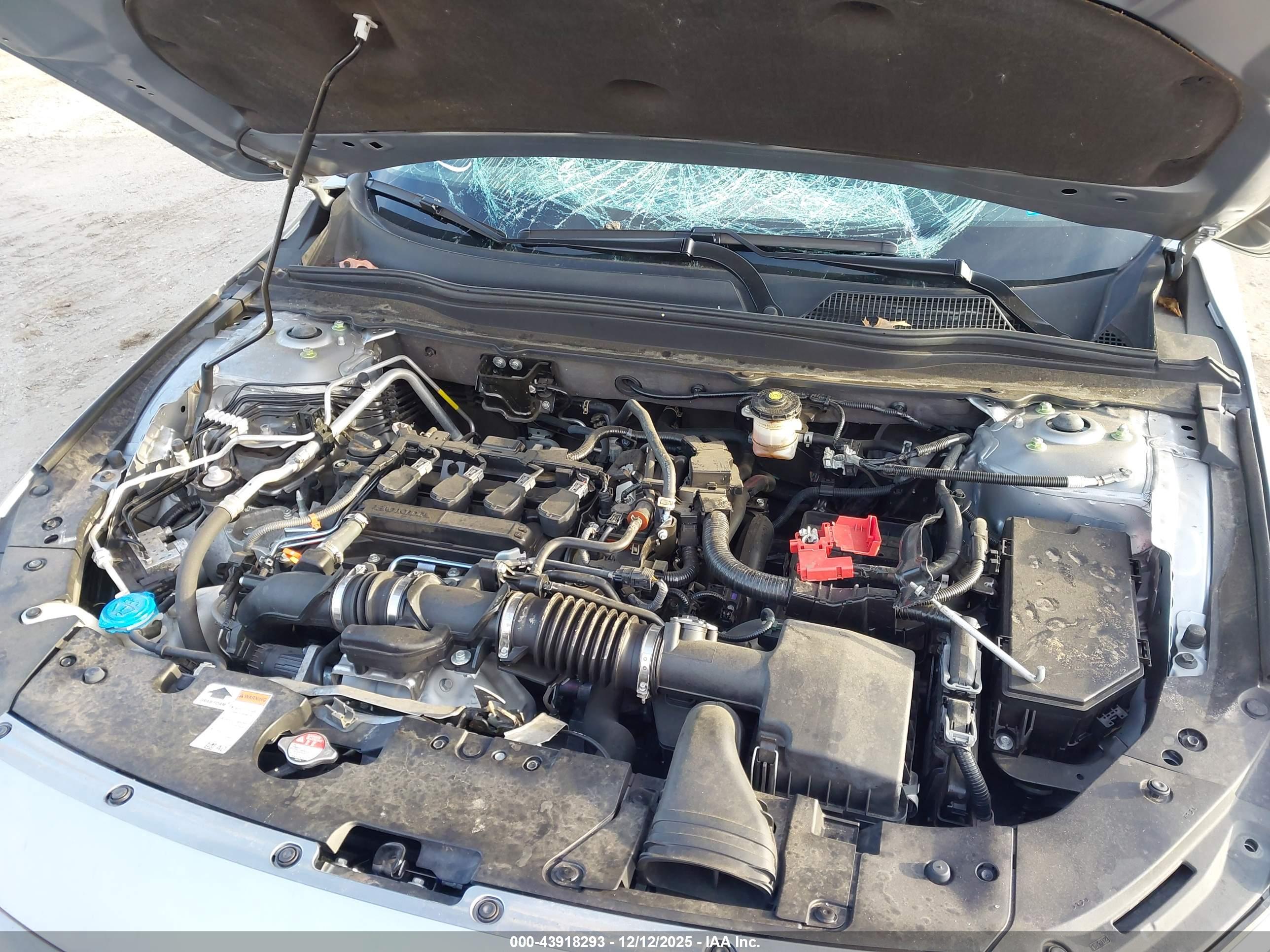 HONDA ACCORD image 10