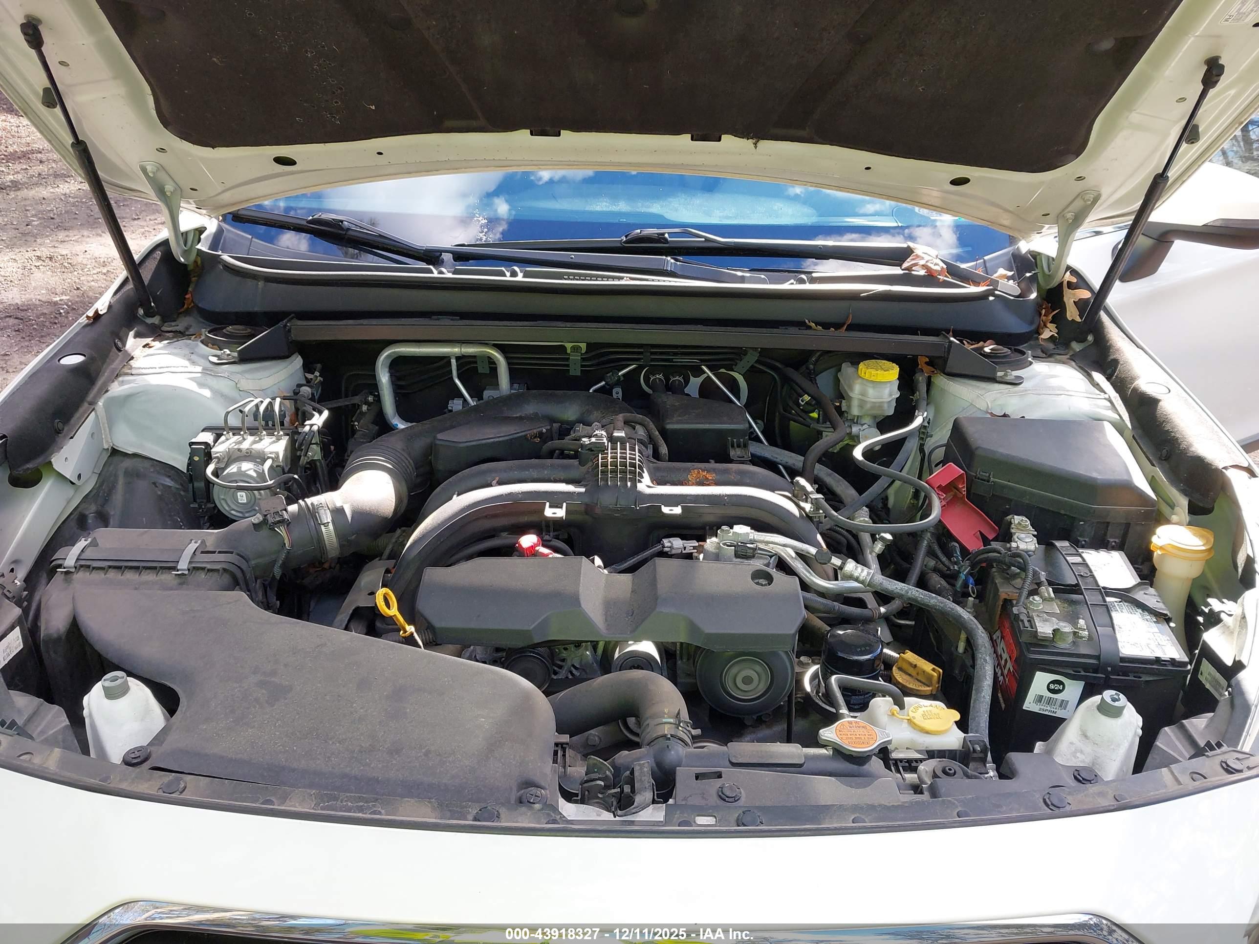 SUBARU OUTBACK image 10