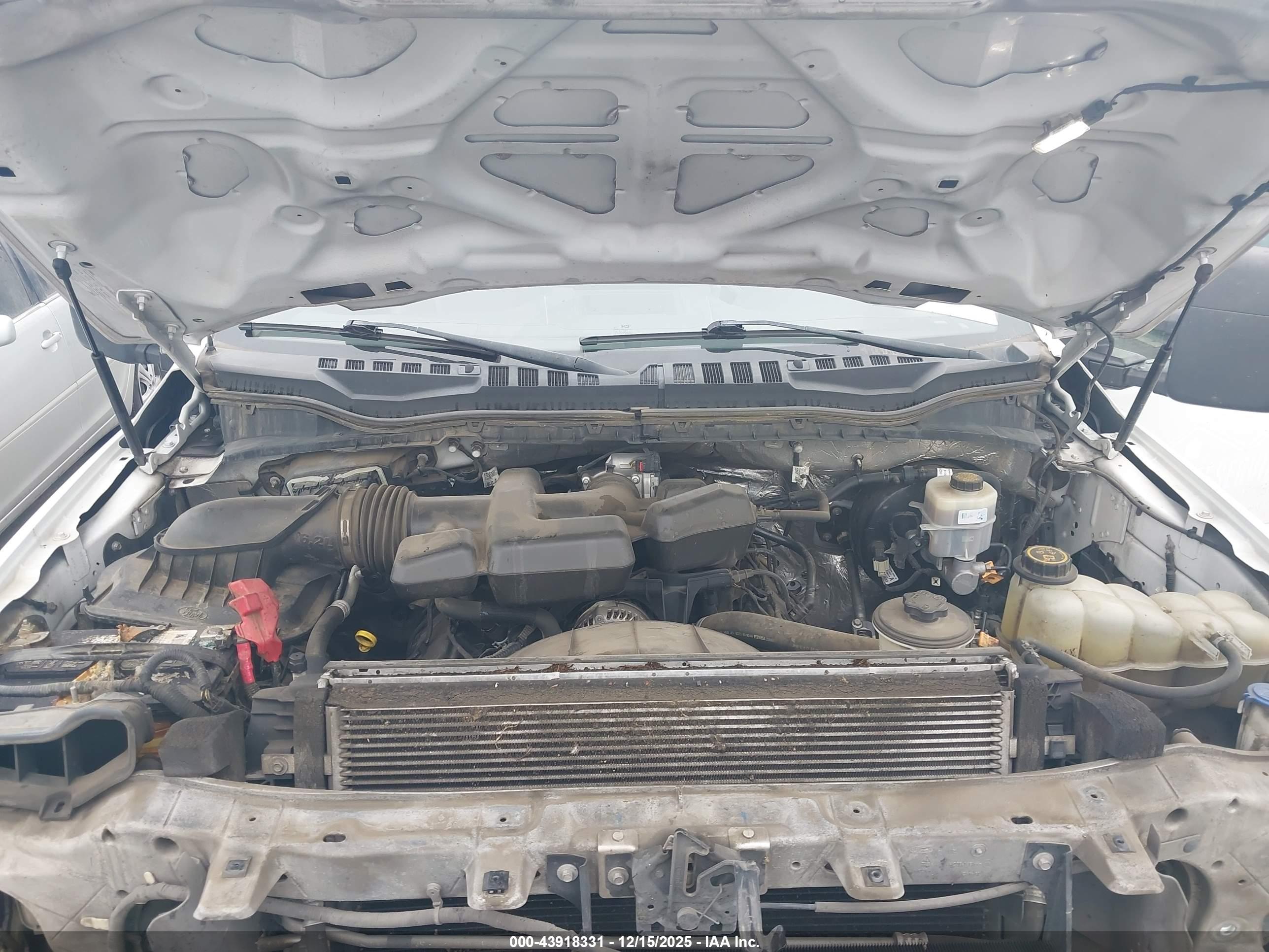 FORD F-250 image 10