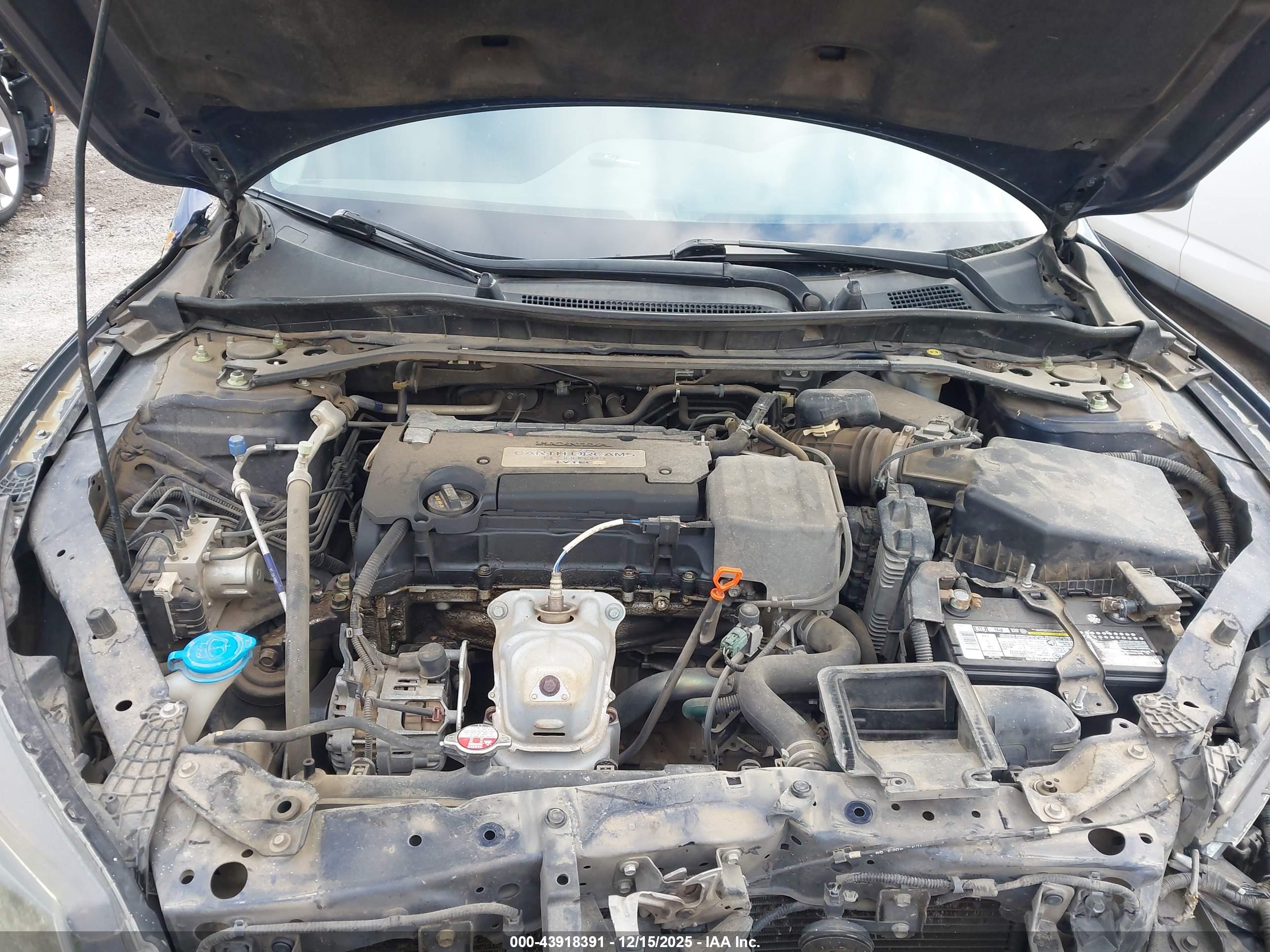 HONDA ACCORD image 10