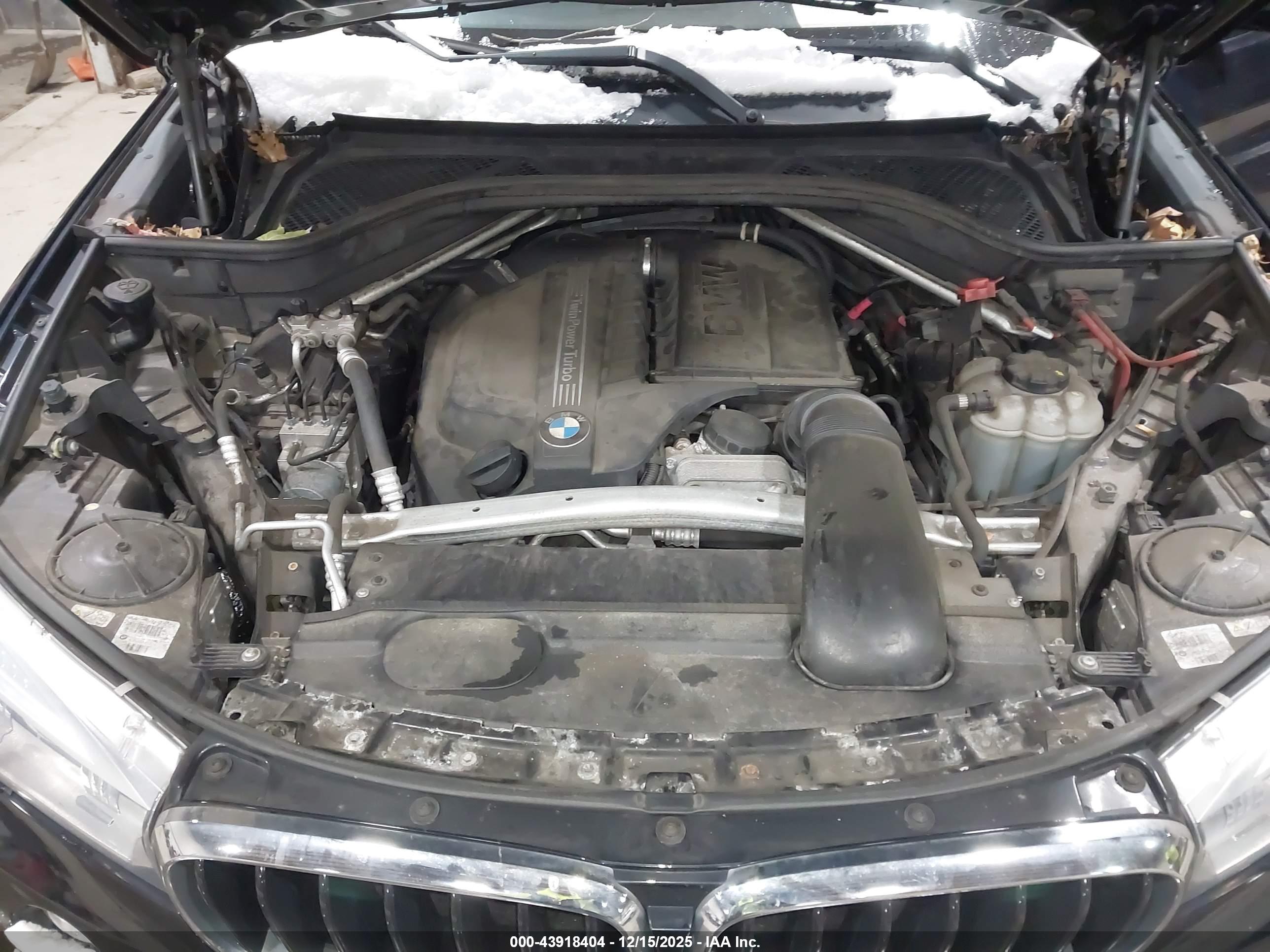 BMW X6 image 10