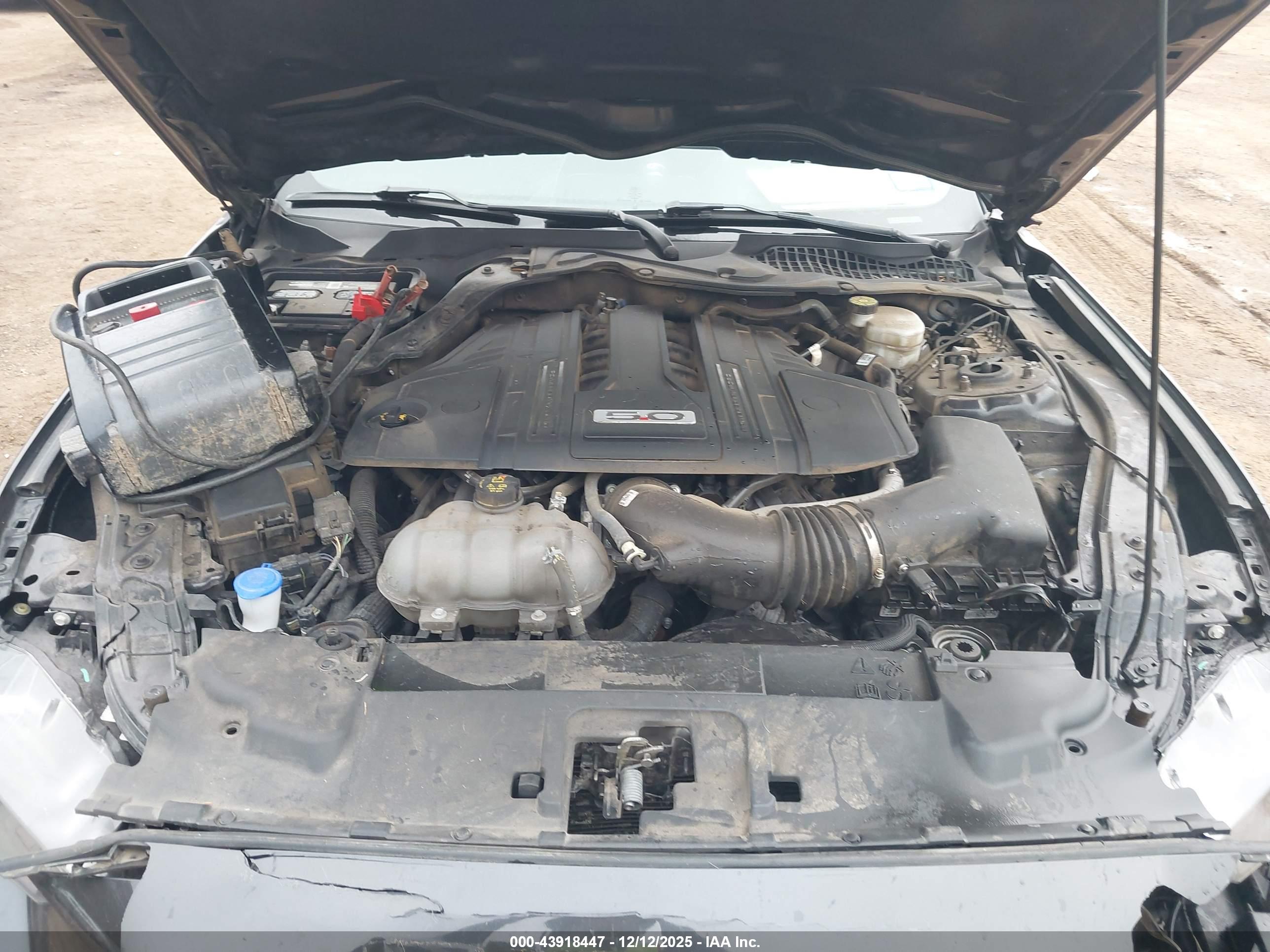 FORD MUSTANG image 10