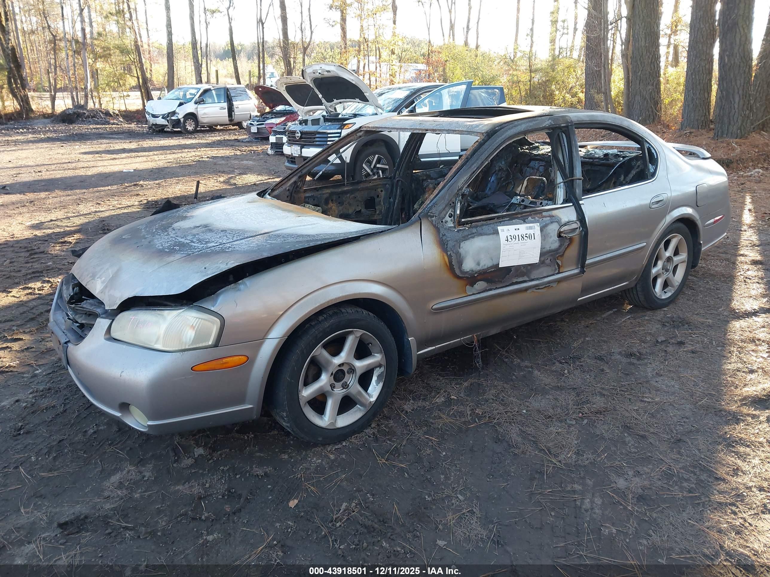 NISSAN MAXIMA image 2