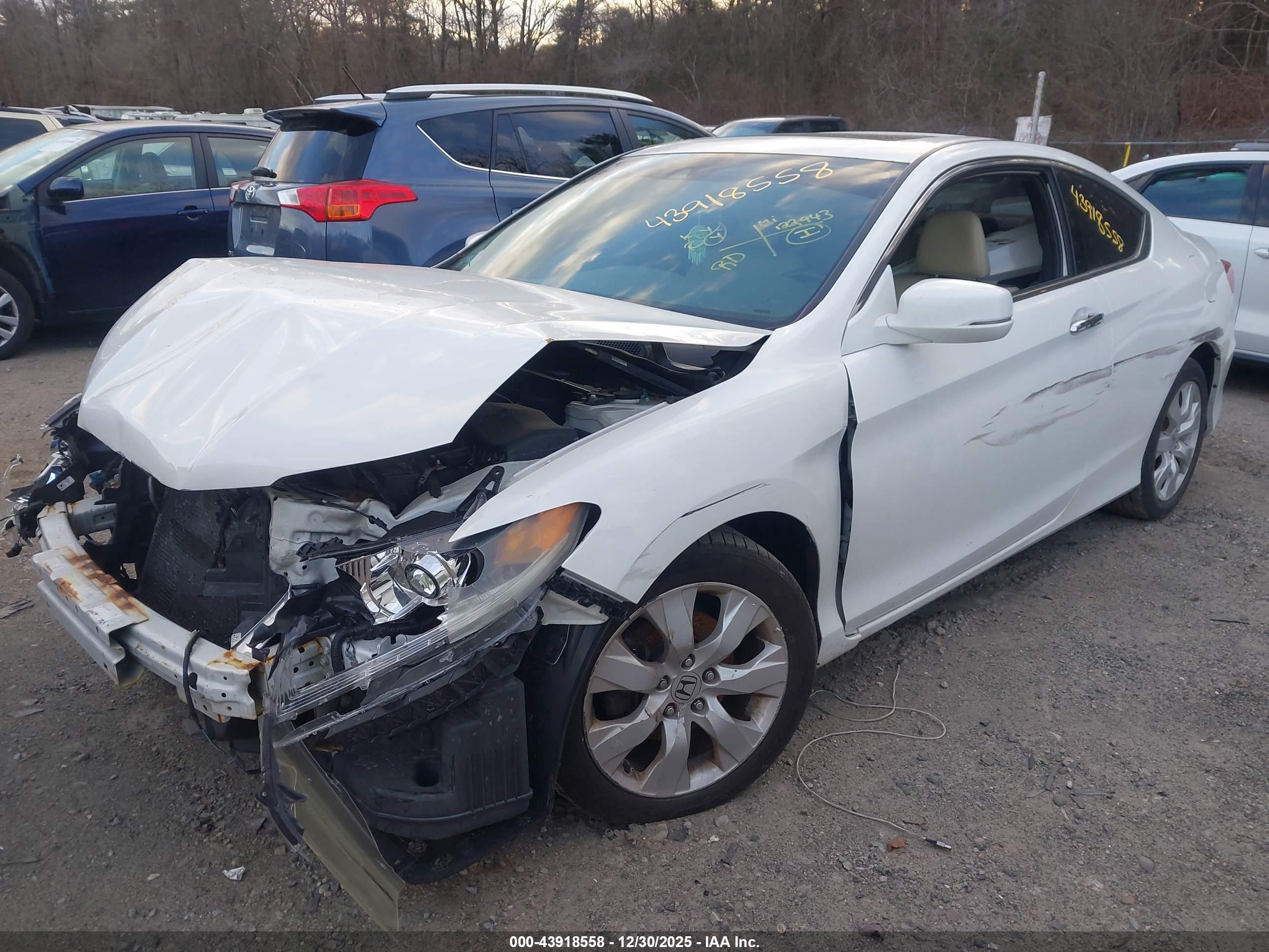 HONDA ACCORD image 2