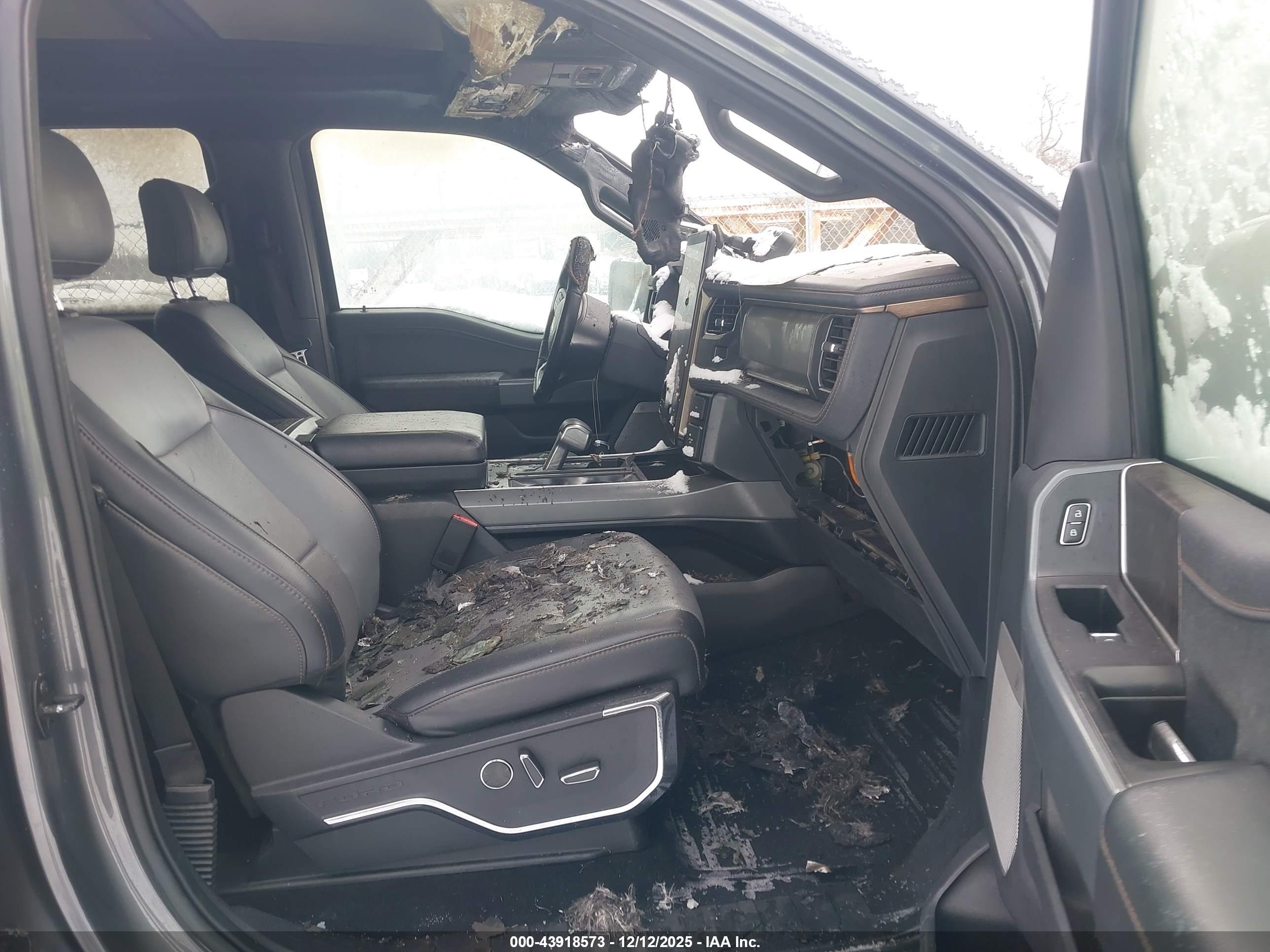 FORD F-150 image 5