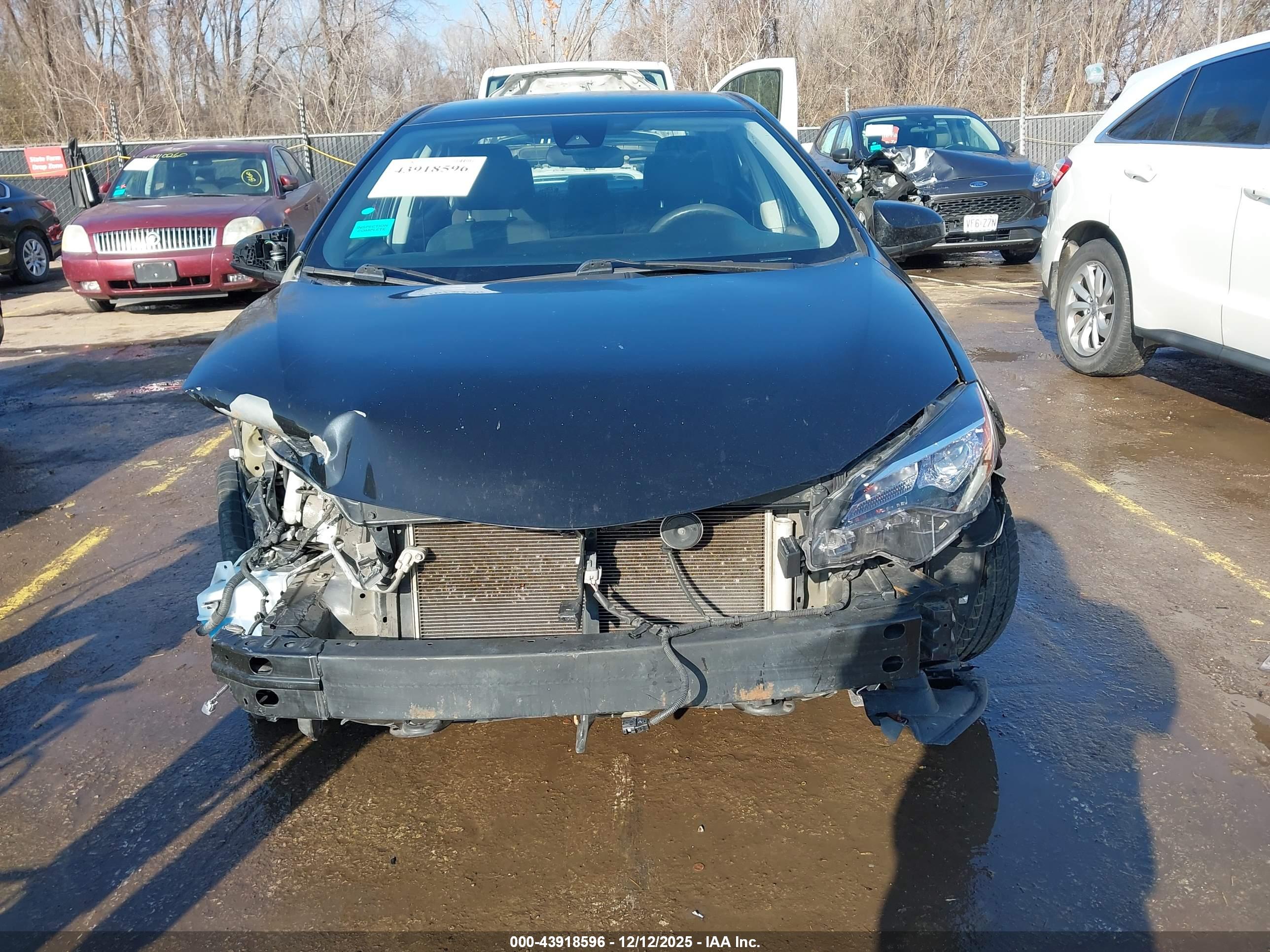 TOYOTA COROLLA image 6