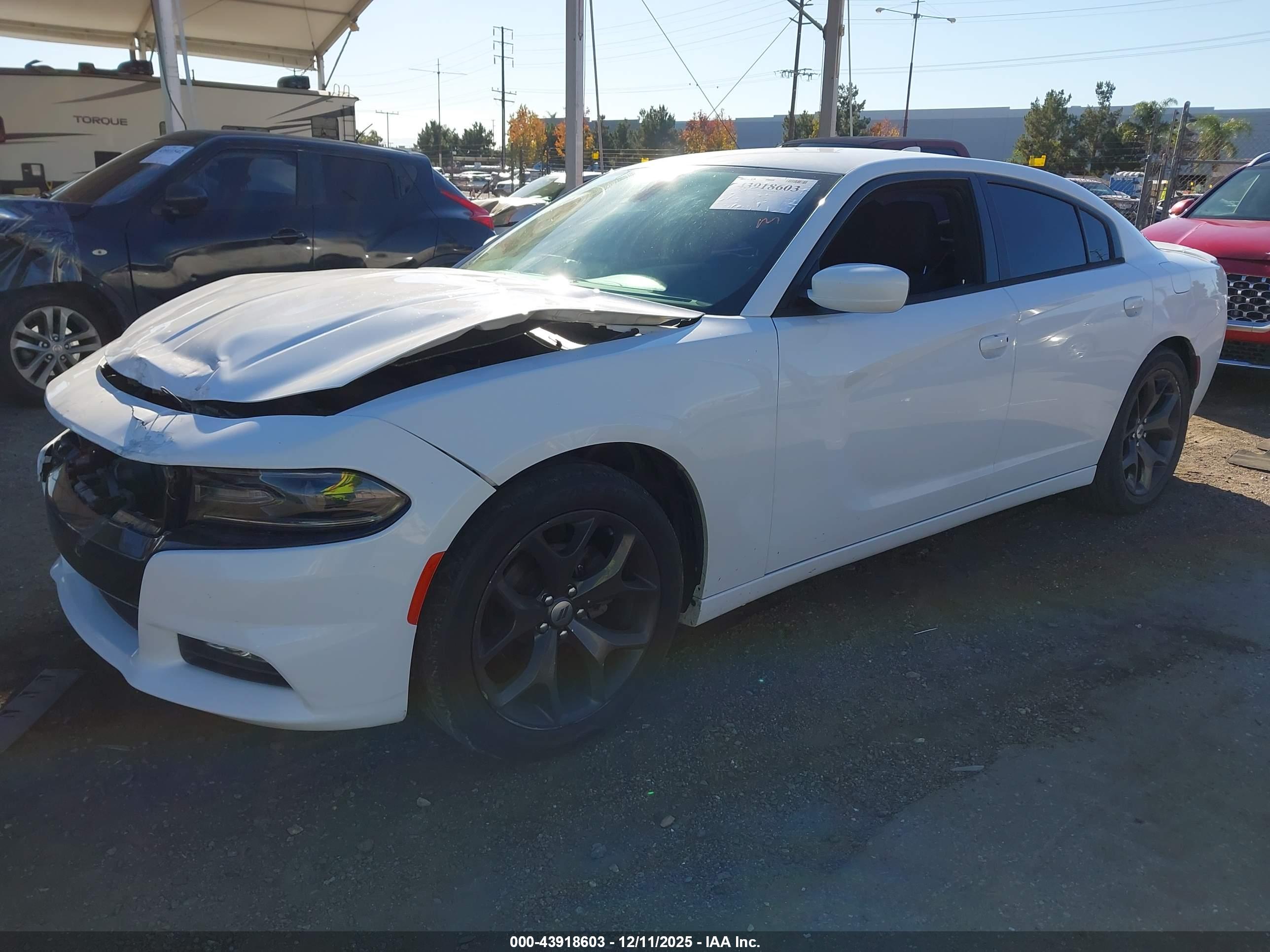 DODGE CHARGER image 2