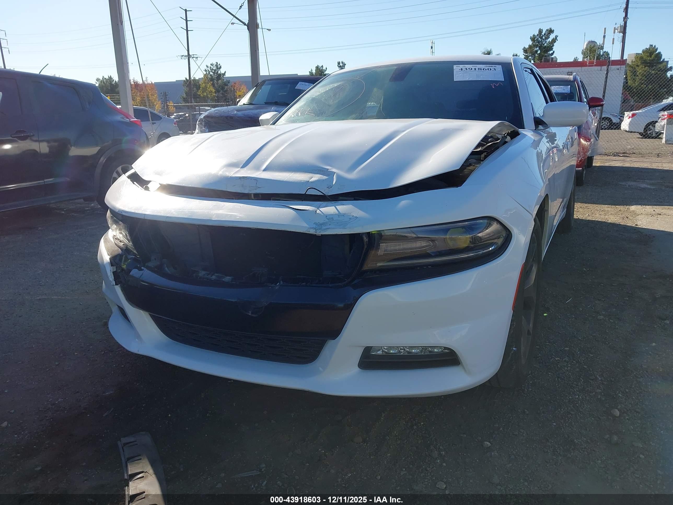 DODGE CHARGER image 6