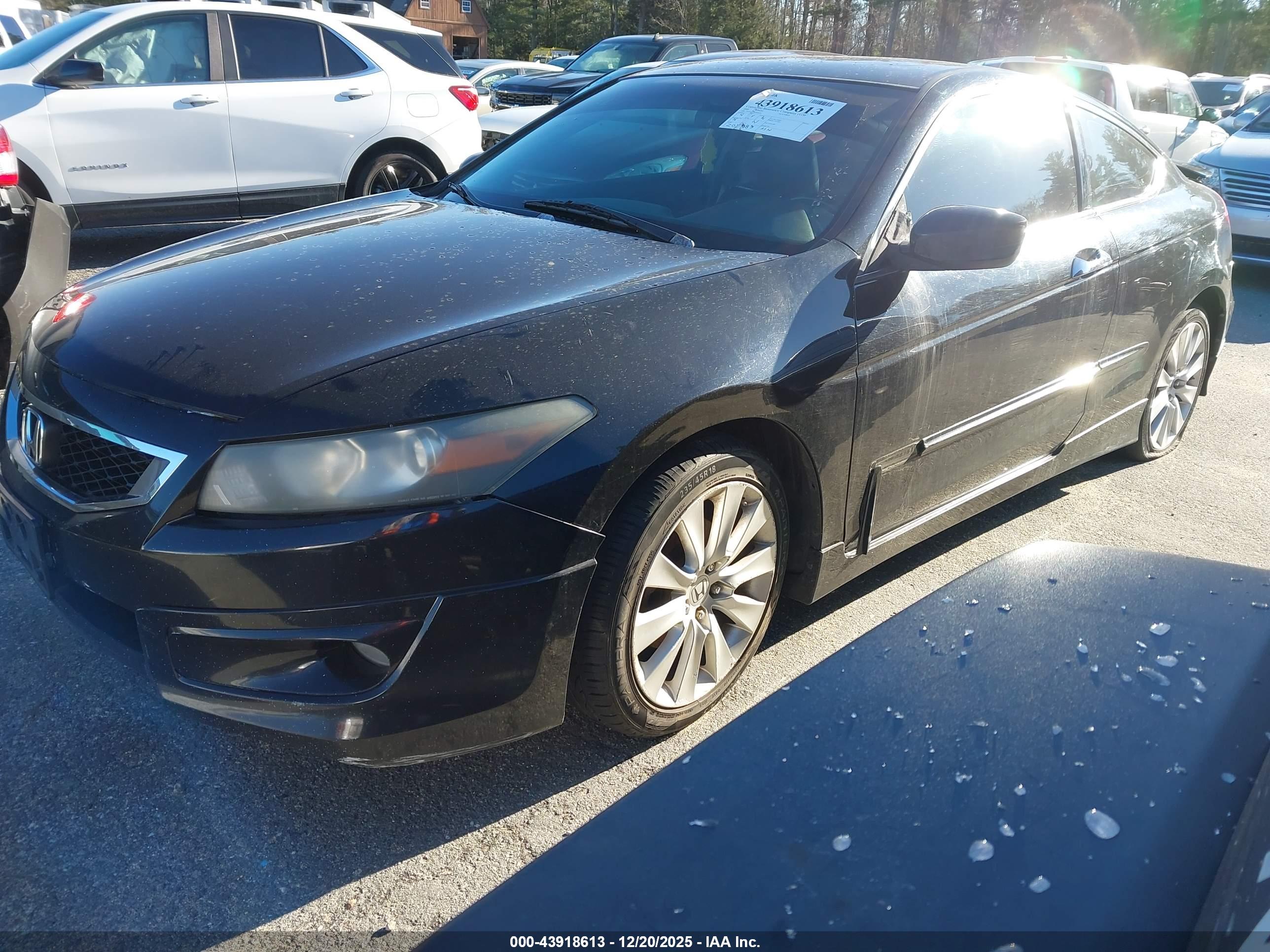 HONDA ACCORD image 2