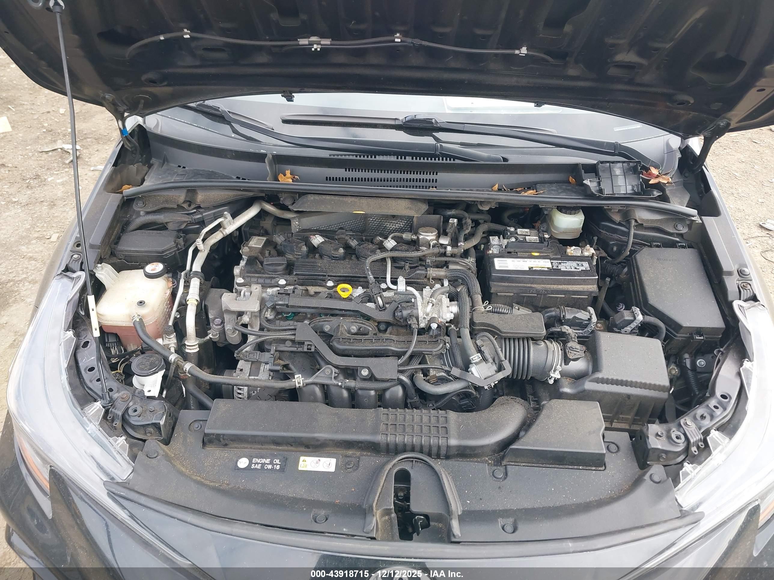 TOYOTA COROLLA image 10
