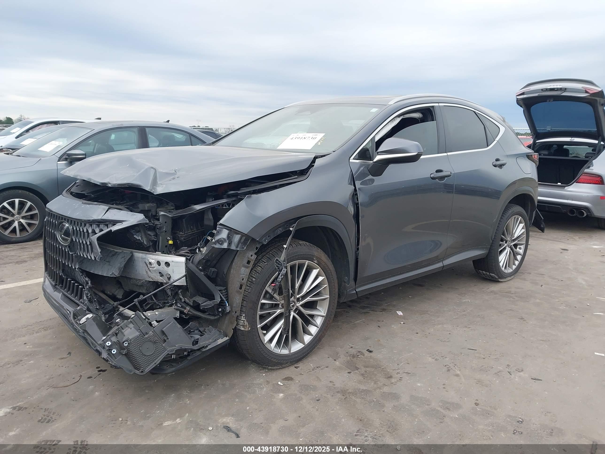LEXUS NX image 2
