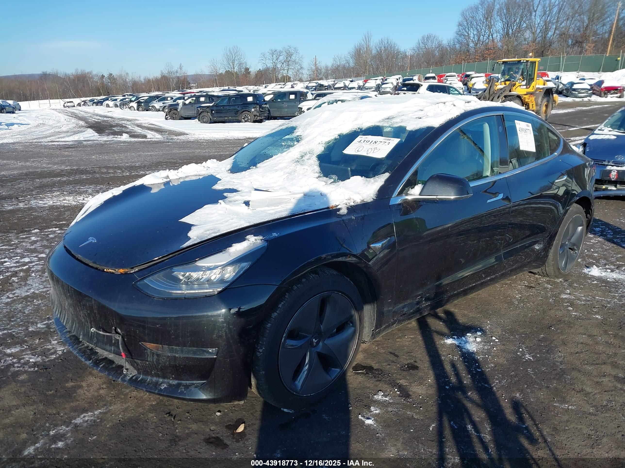 TESLA MODEL image 2
