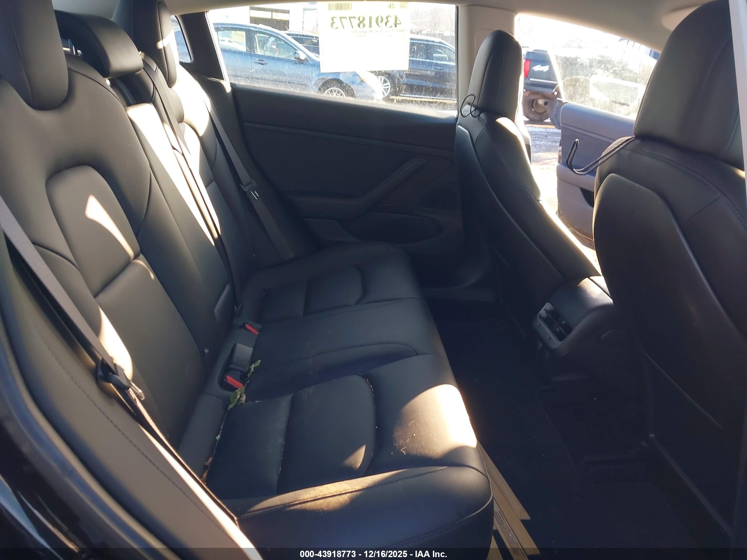 TESLA MODEL image 8
