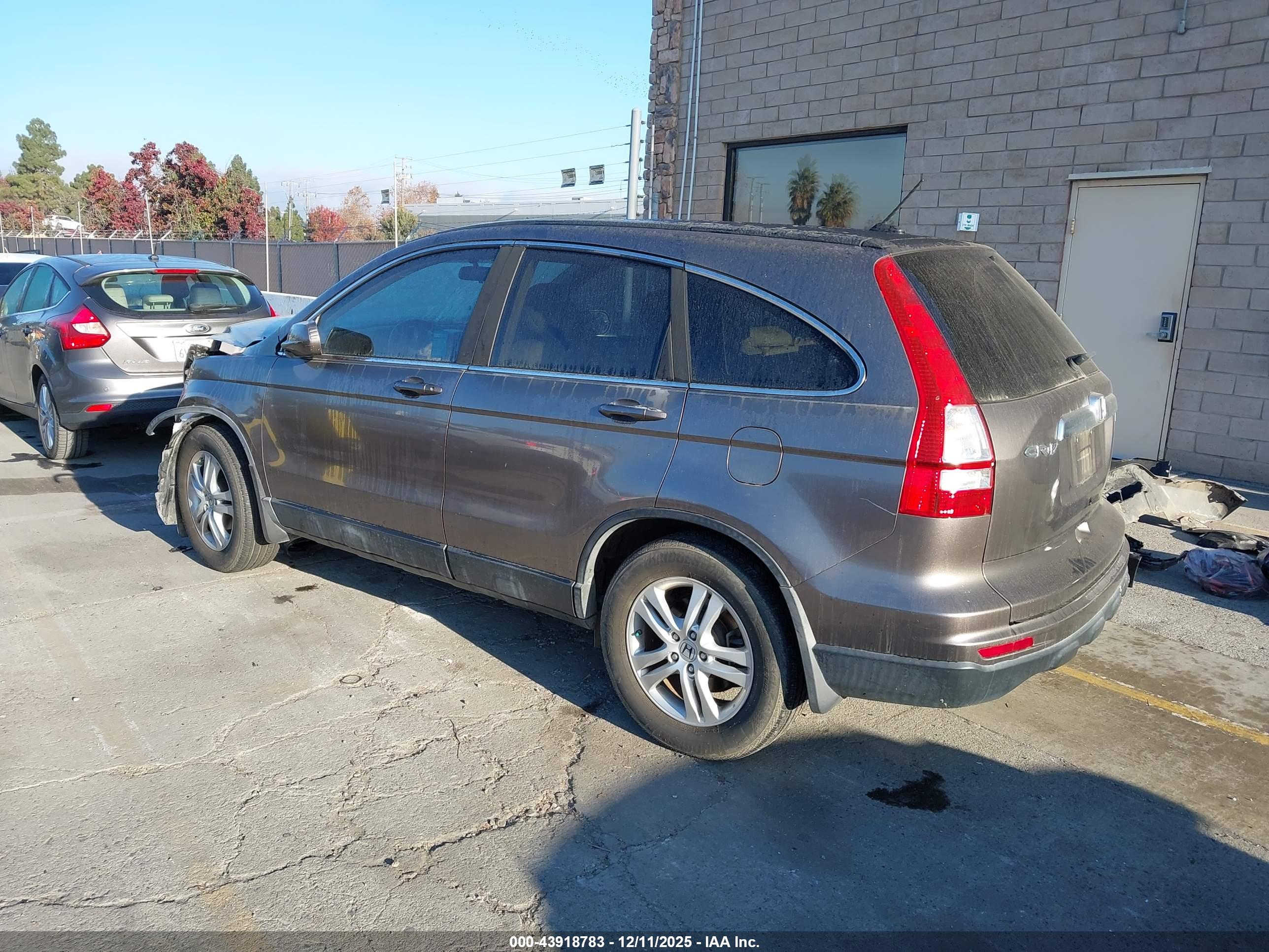 HONDA CR-V image 3