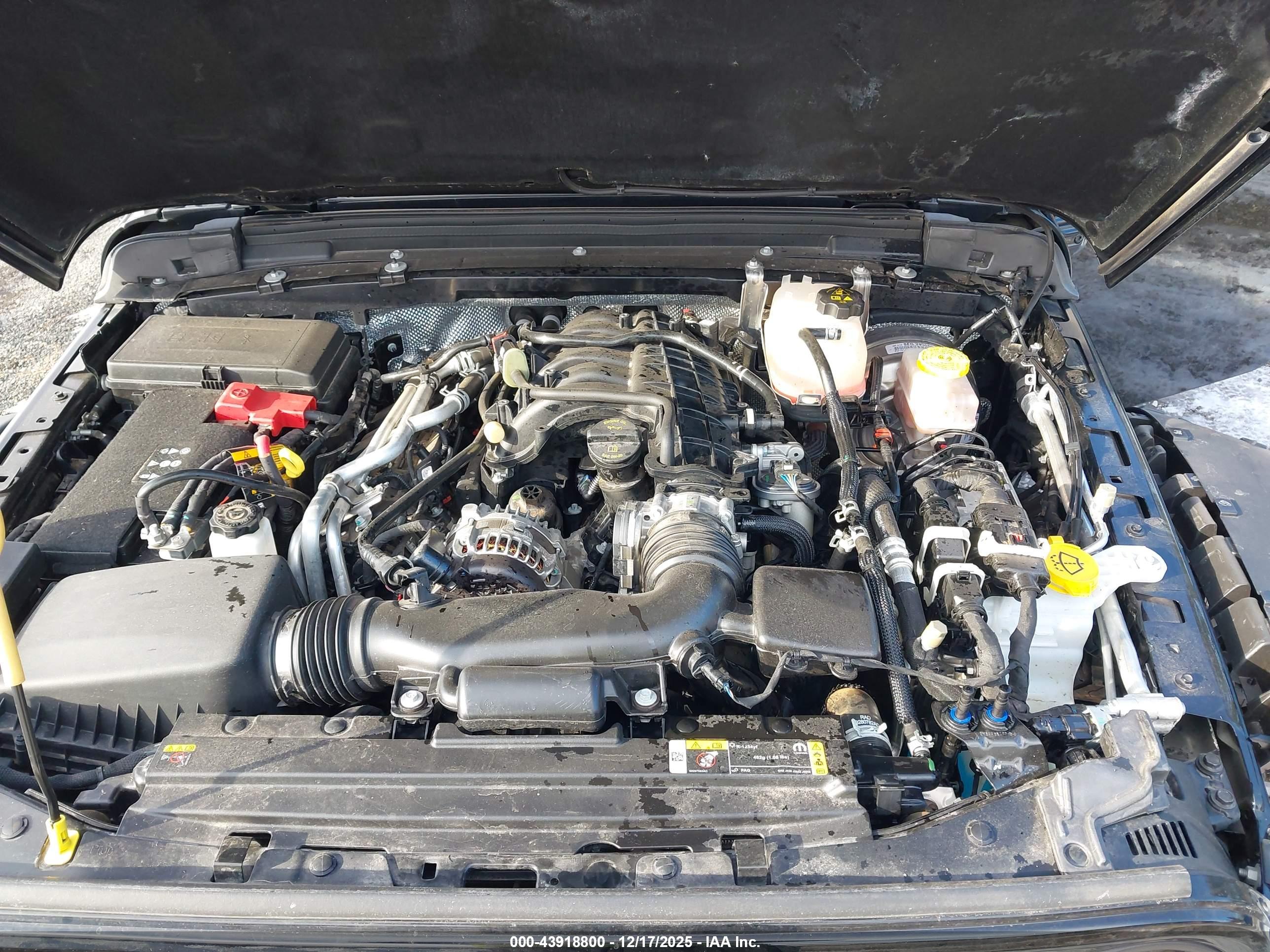 JEEP WRANGLER image 10