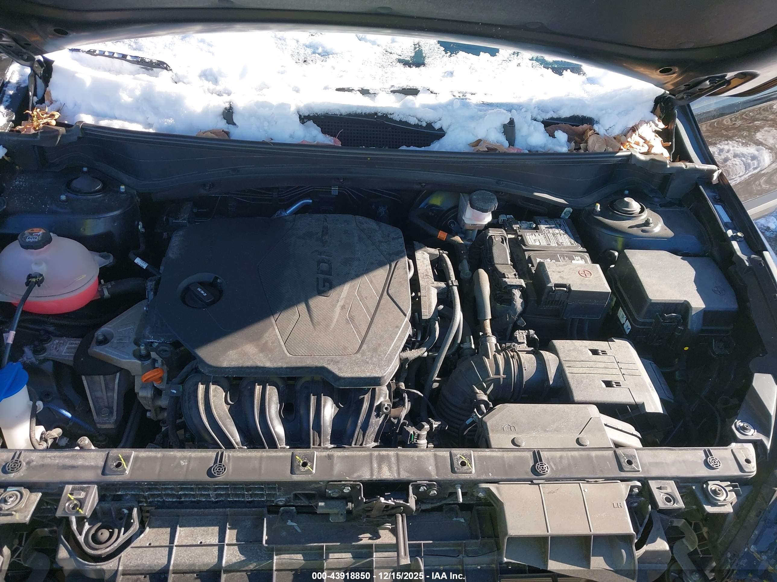 KIA SPORTAGE image 10