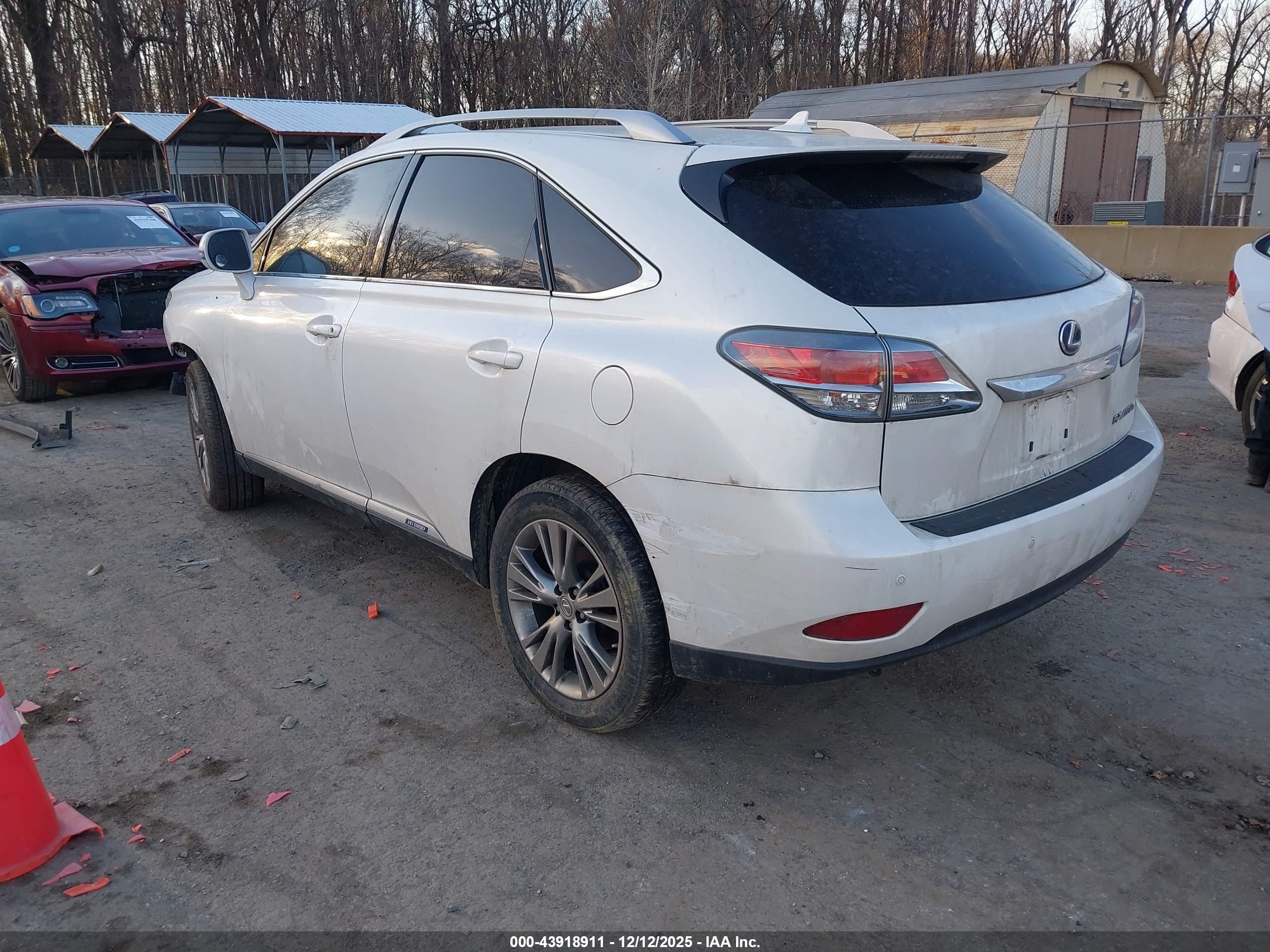 LEXUS RX image 3