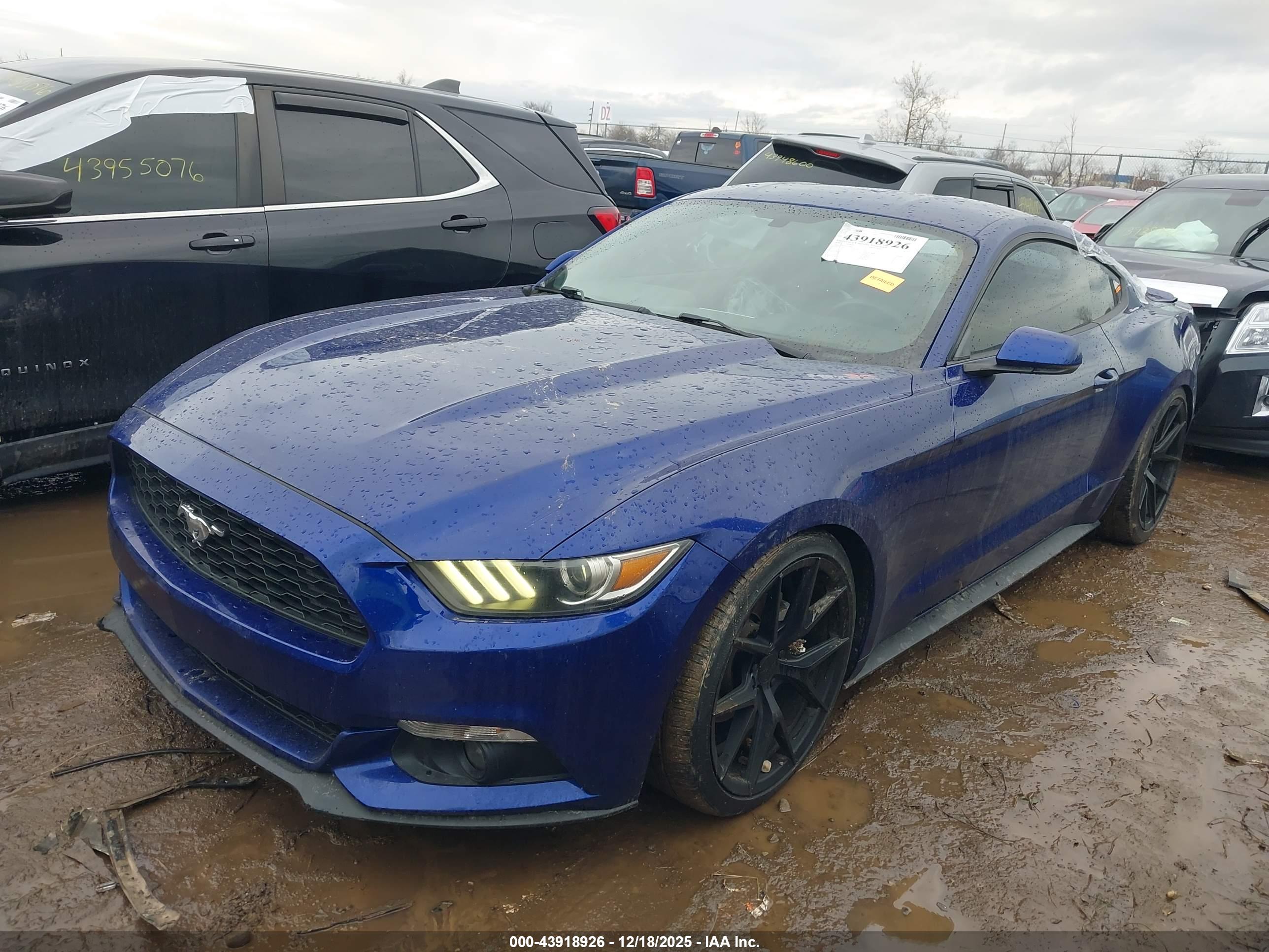 FORD MUSTANG image 2