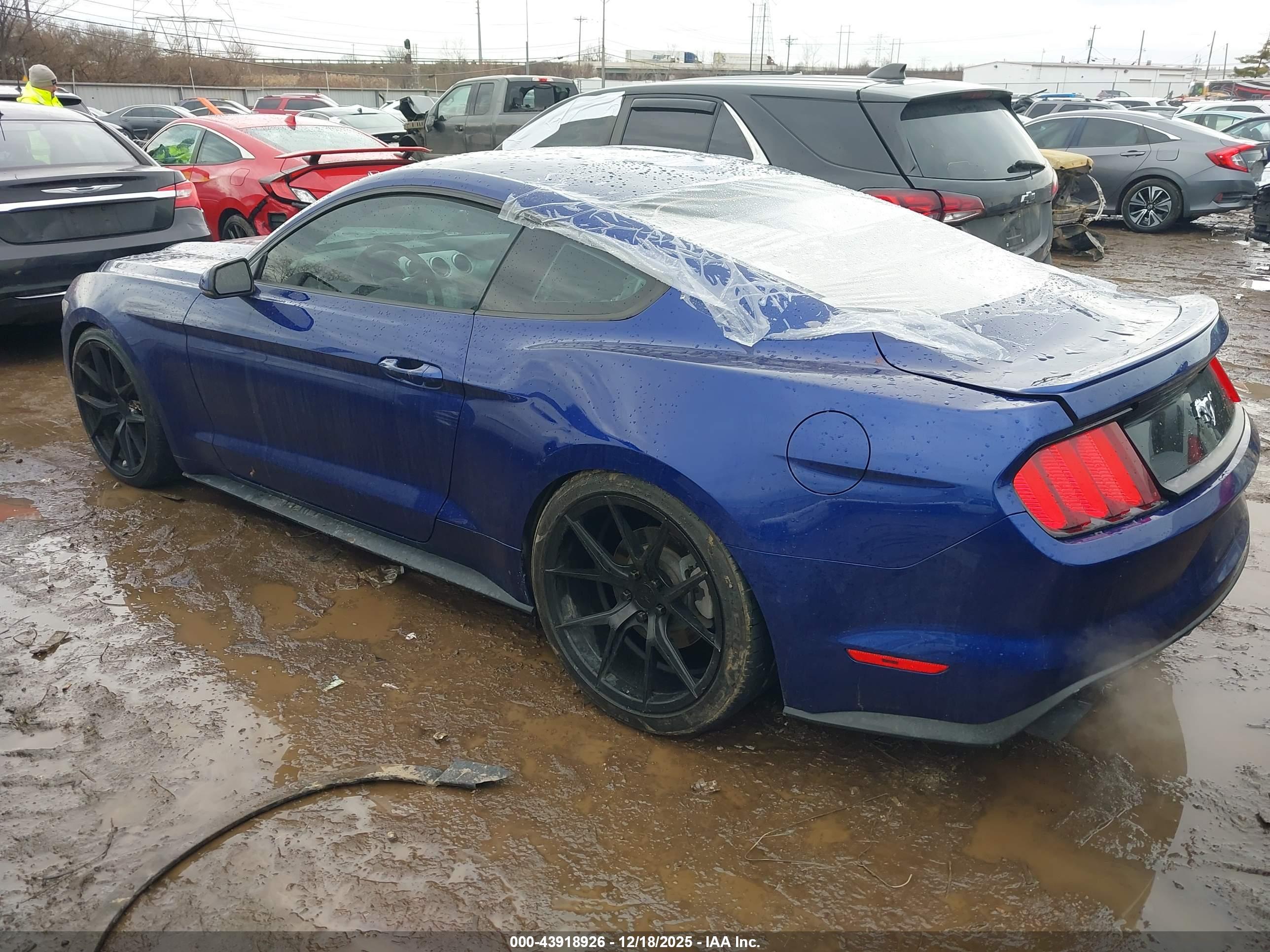 FORD MUSTANG image 3