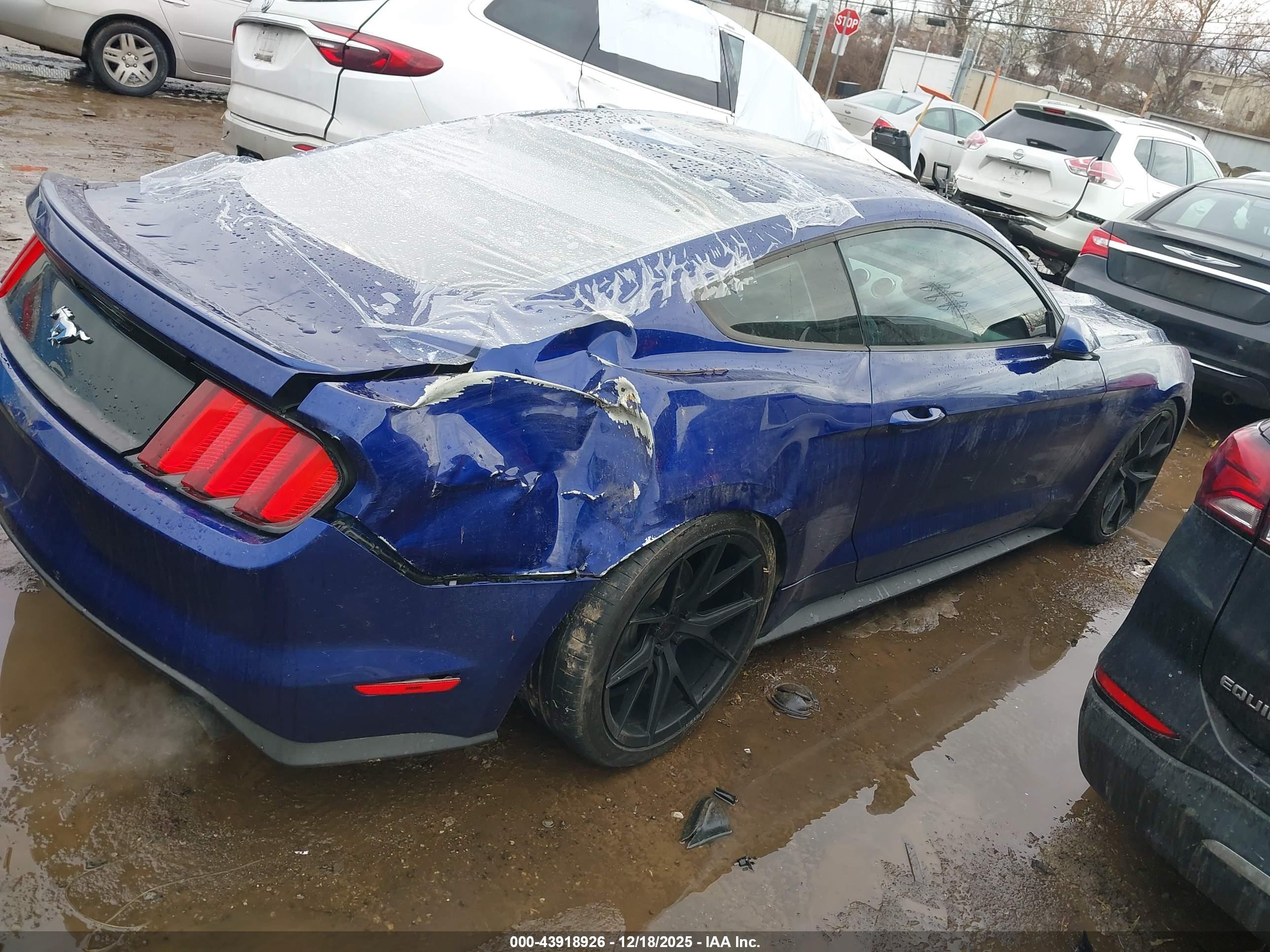 FORD MUSTANG image 4
