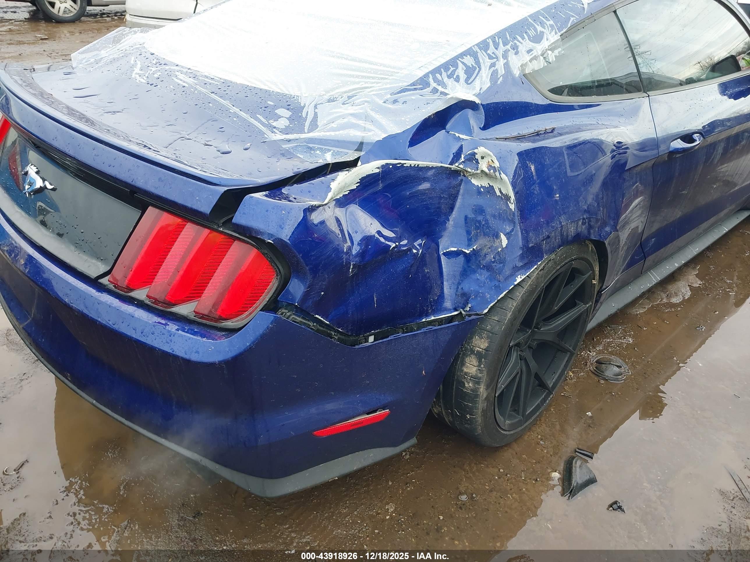 FORD MUSTANG image 6