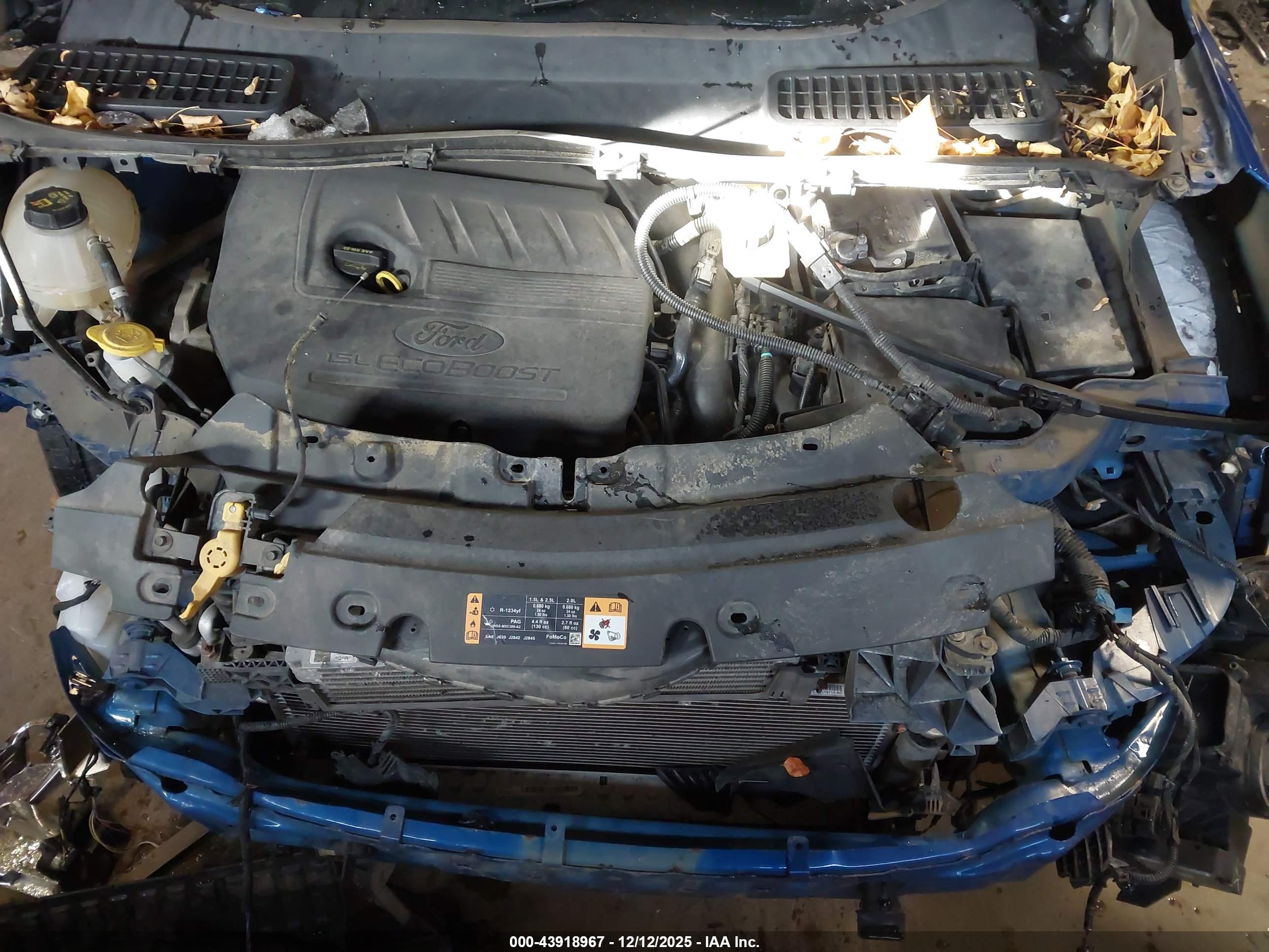 FORD ESCAPE image 10