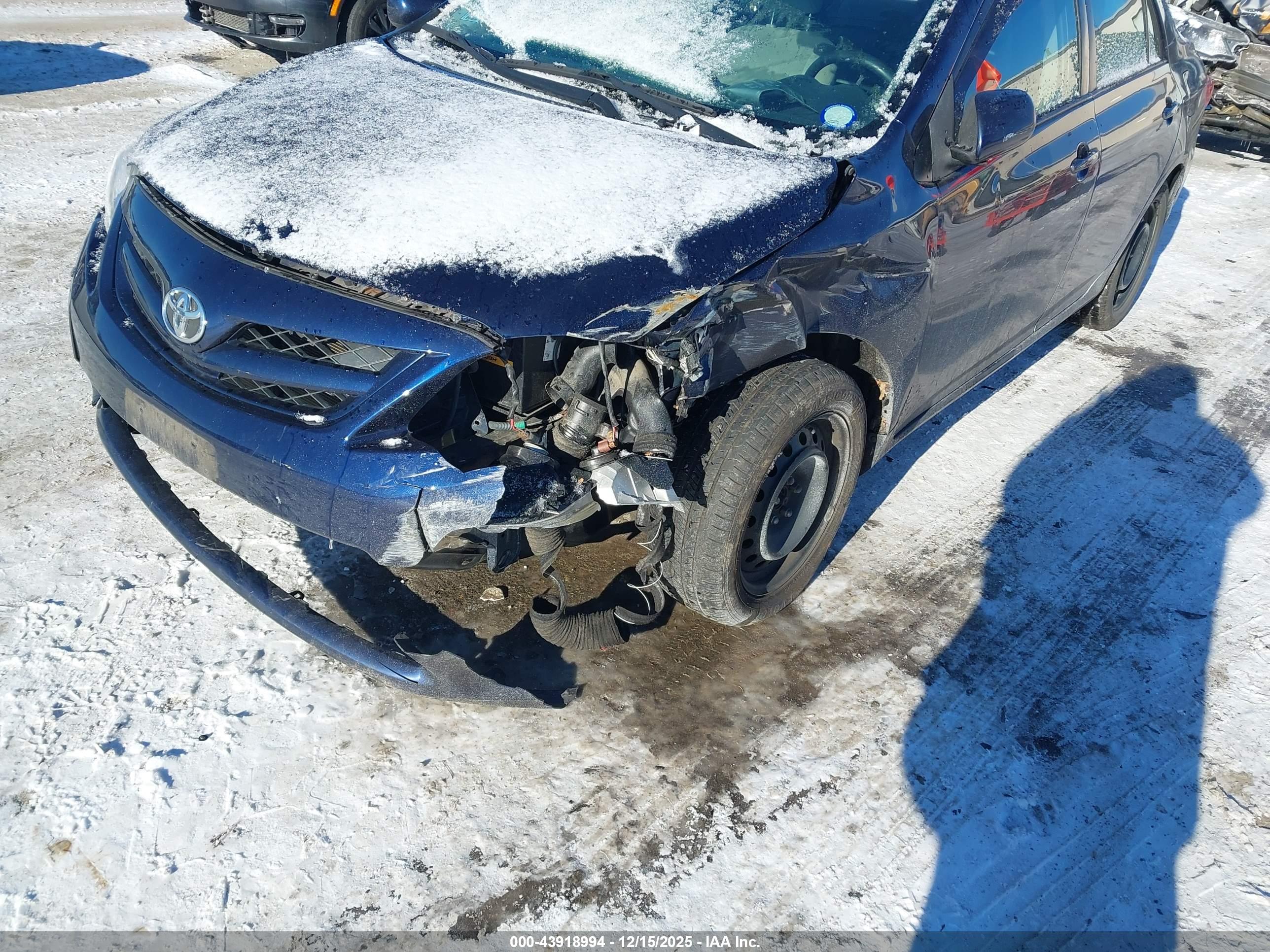 TOYOTA COROLLA image 6