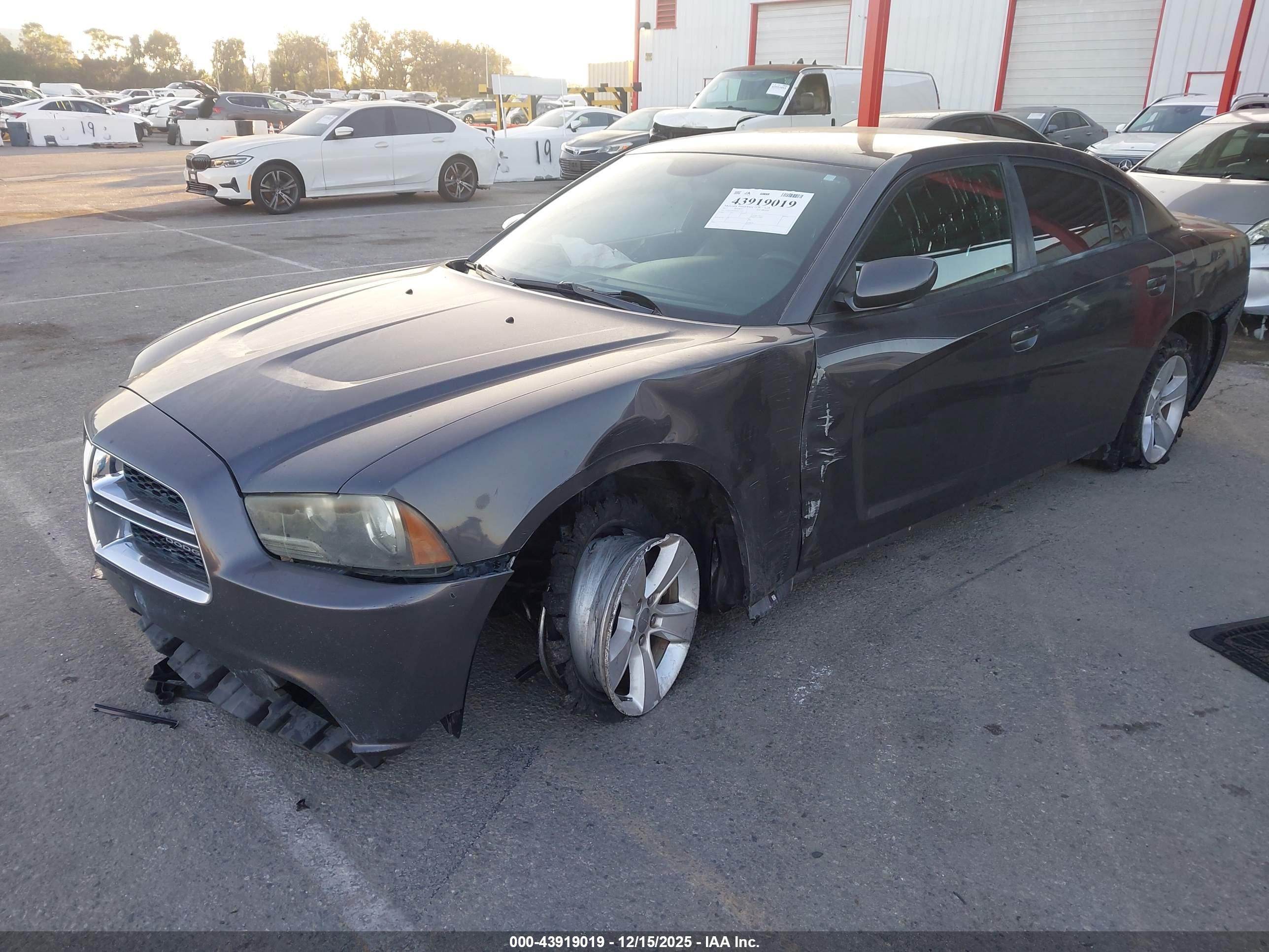 DODGE CHARGER image 2