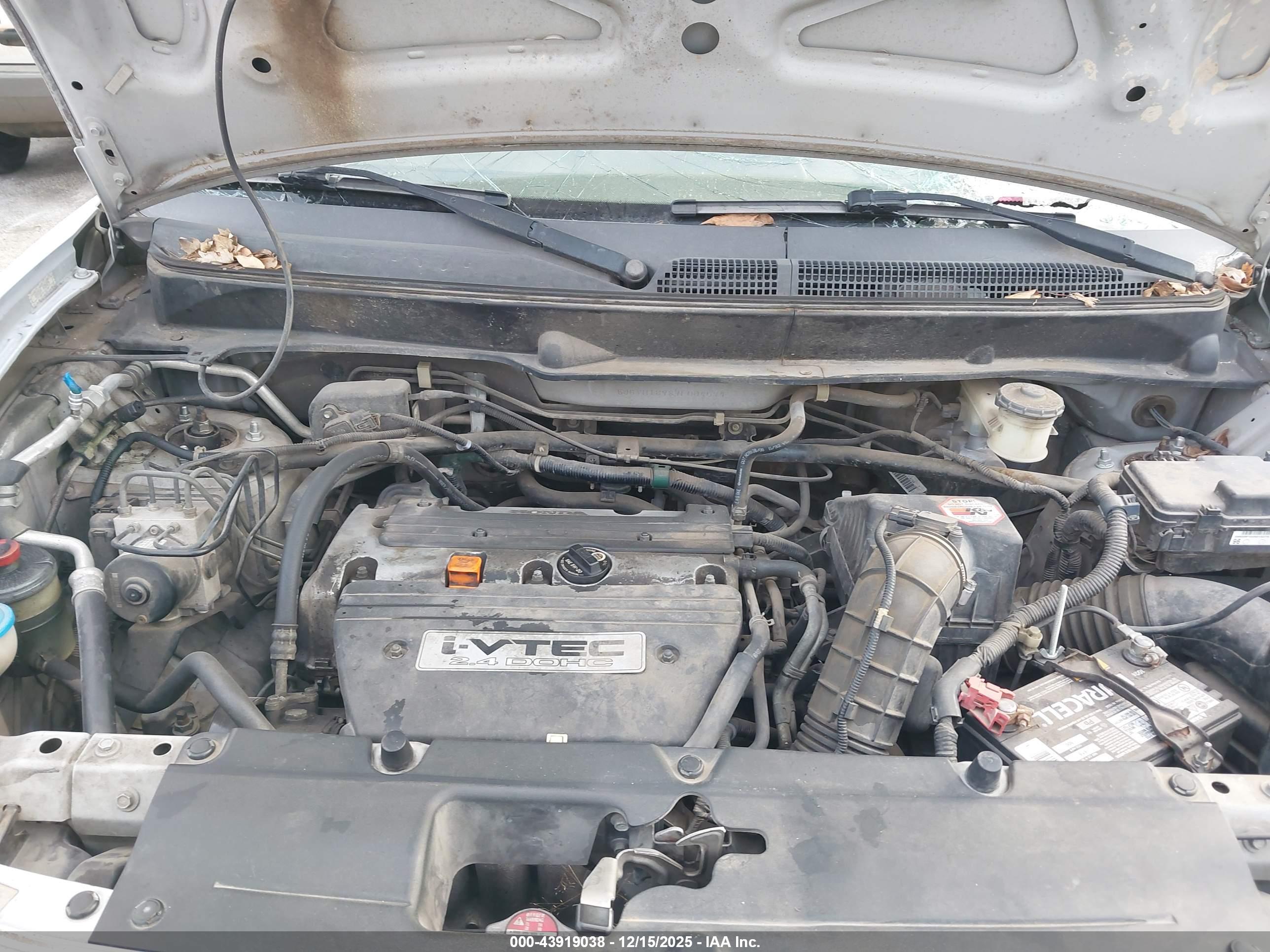 HONDA ELEMENT image 10