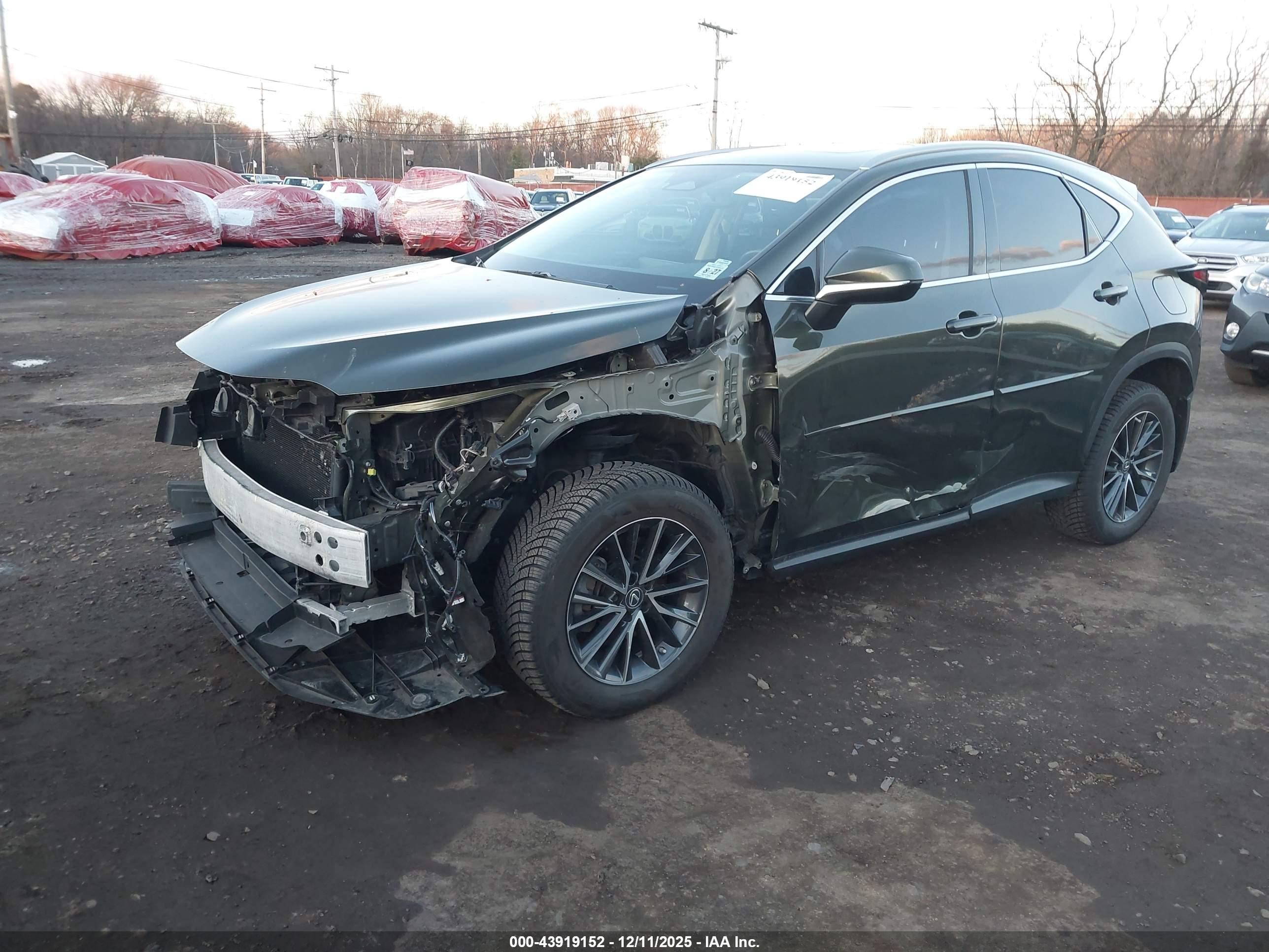LEXUS NX image 2