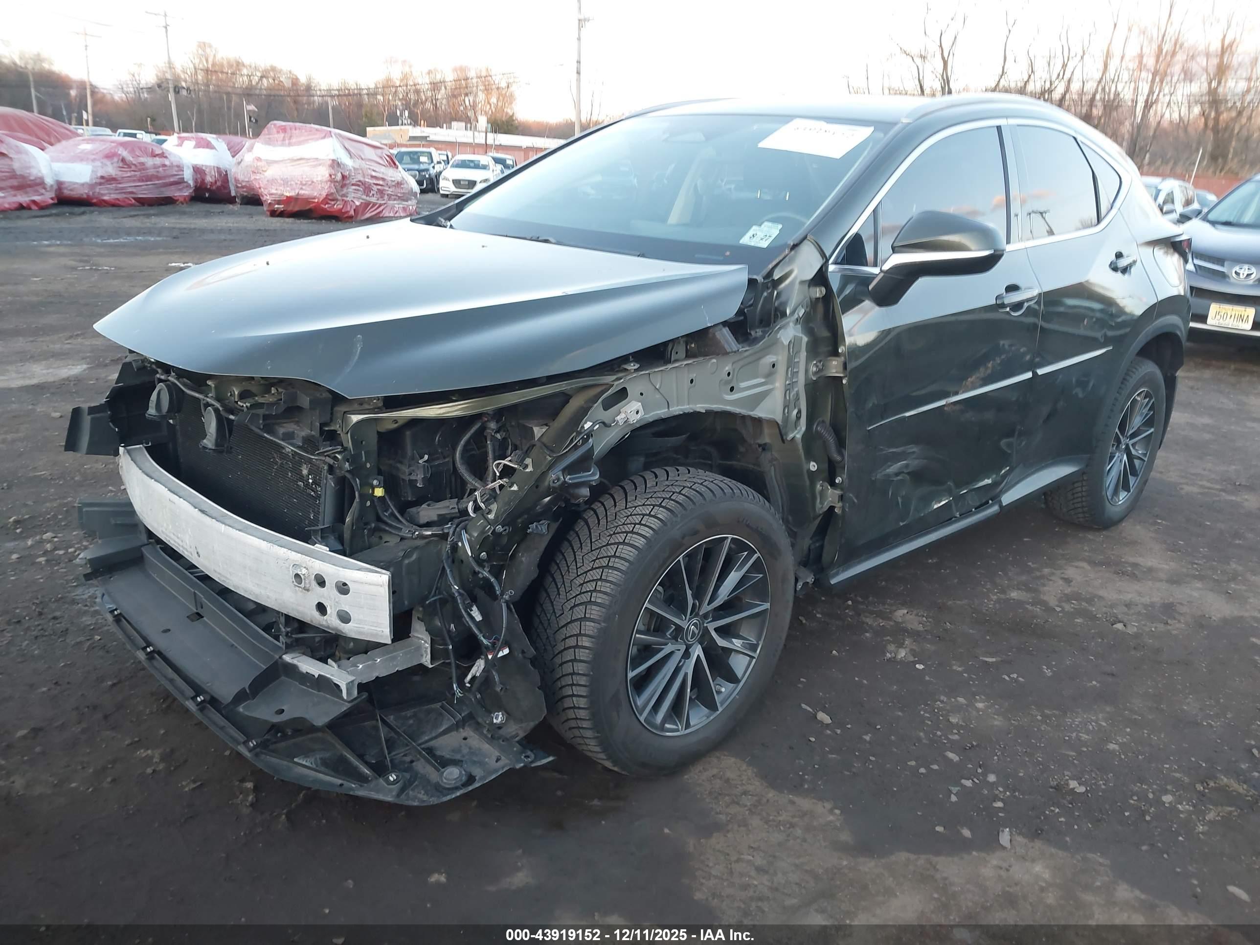 LEXUS NX image 6