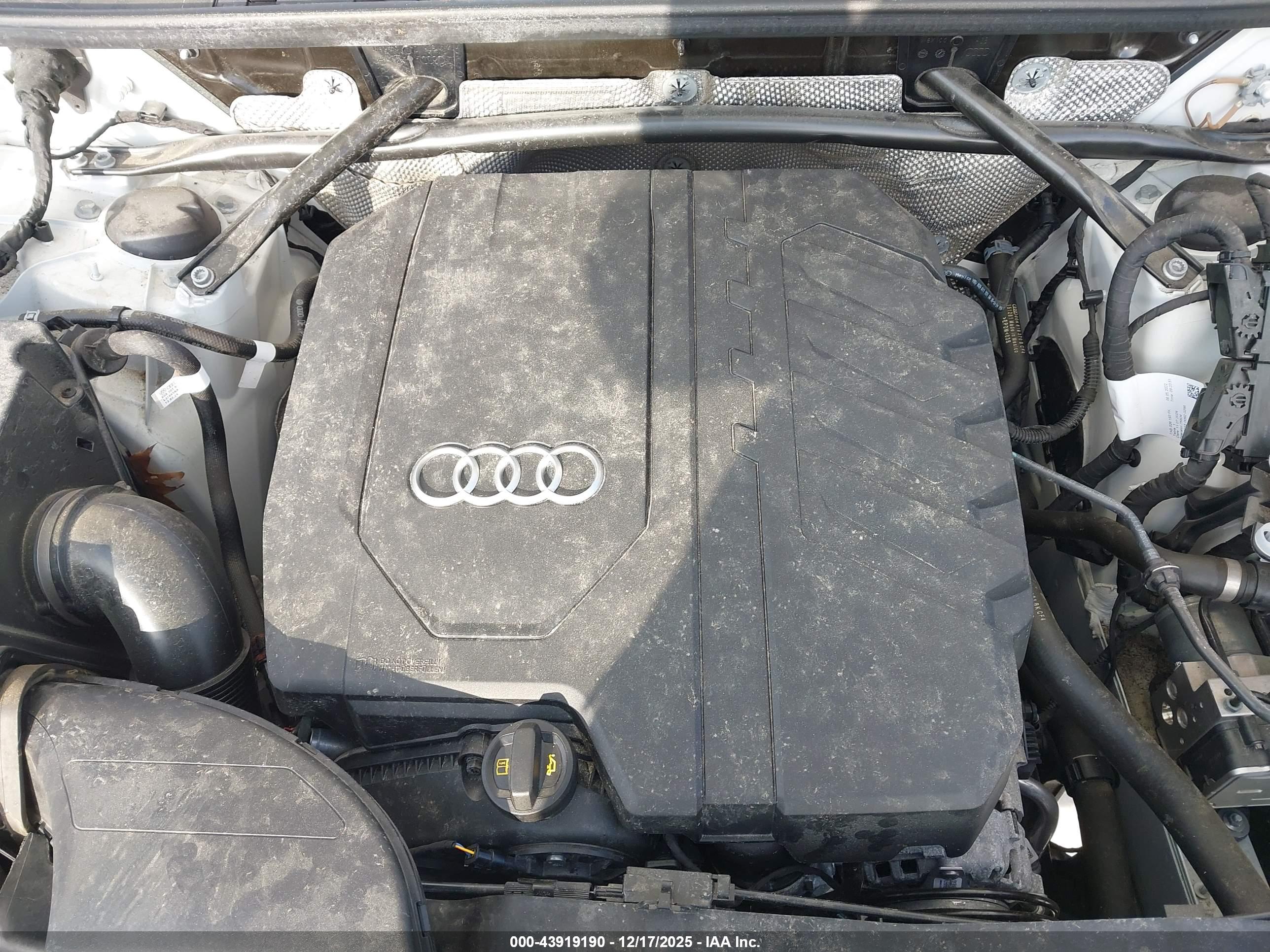 AUDI Q5 image 10