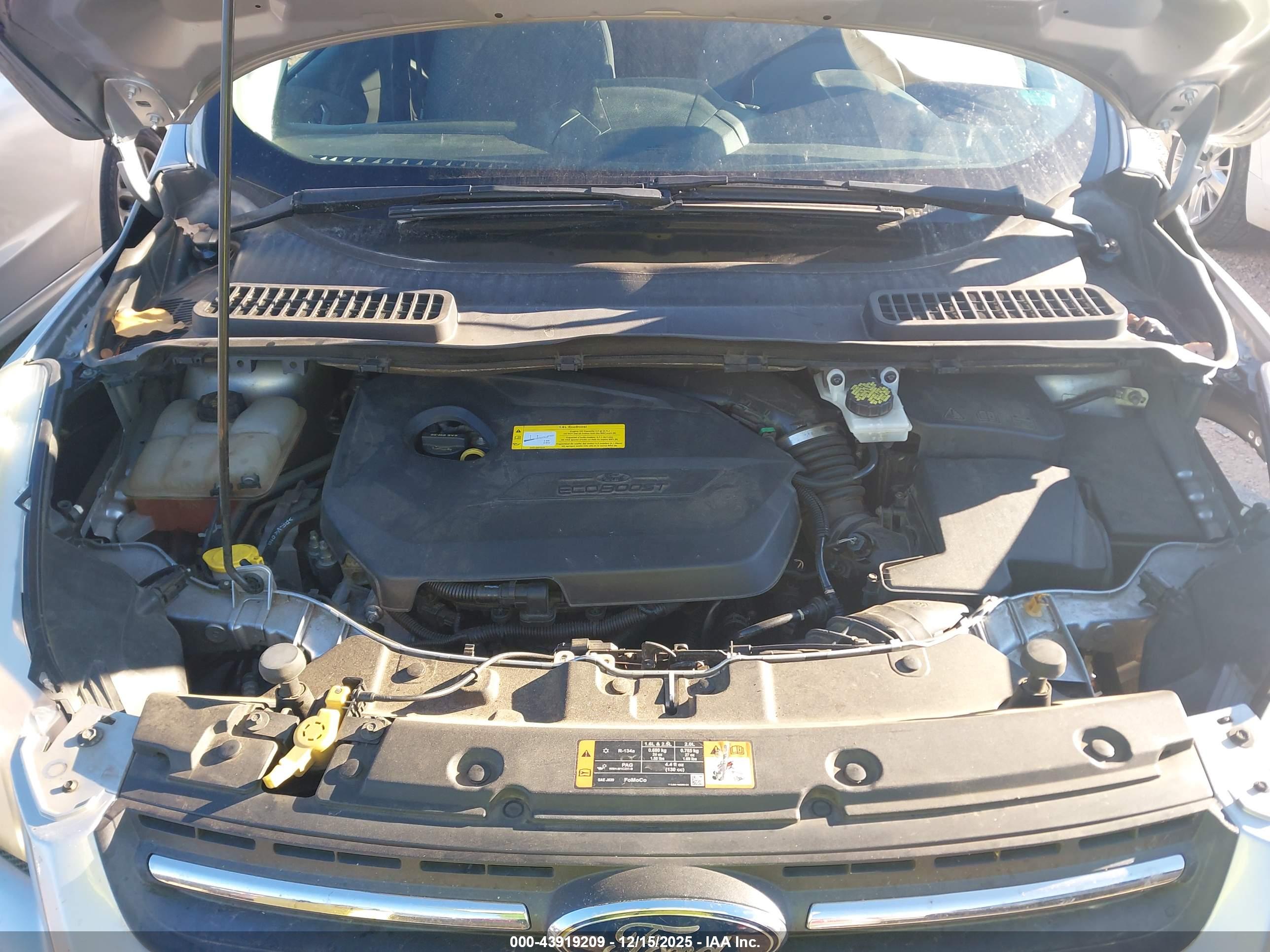 FORD ESCAPE image 10
