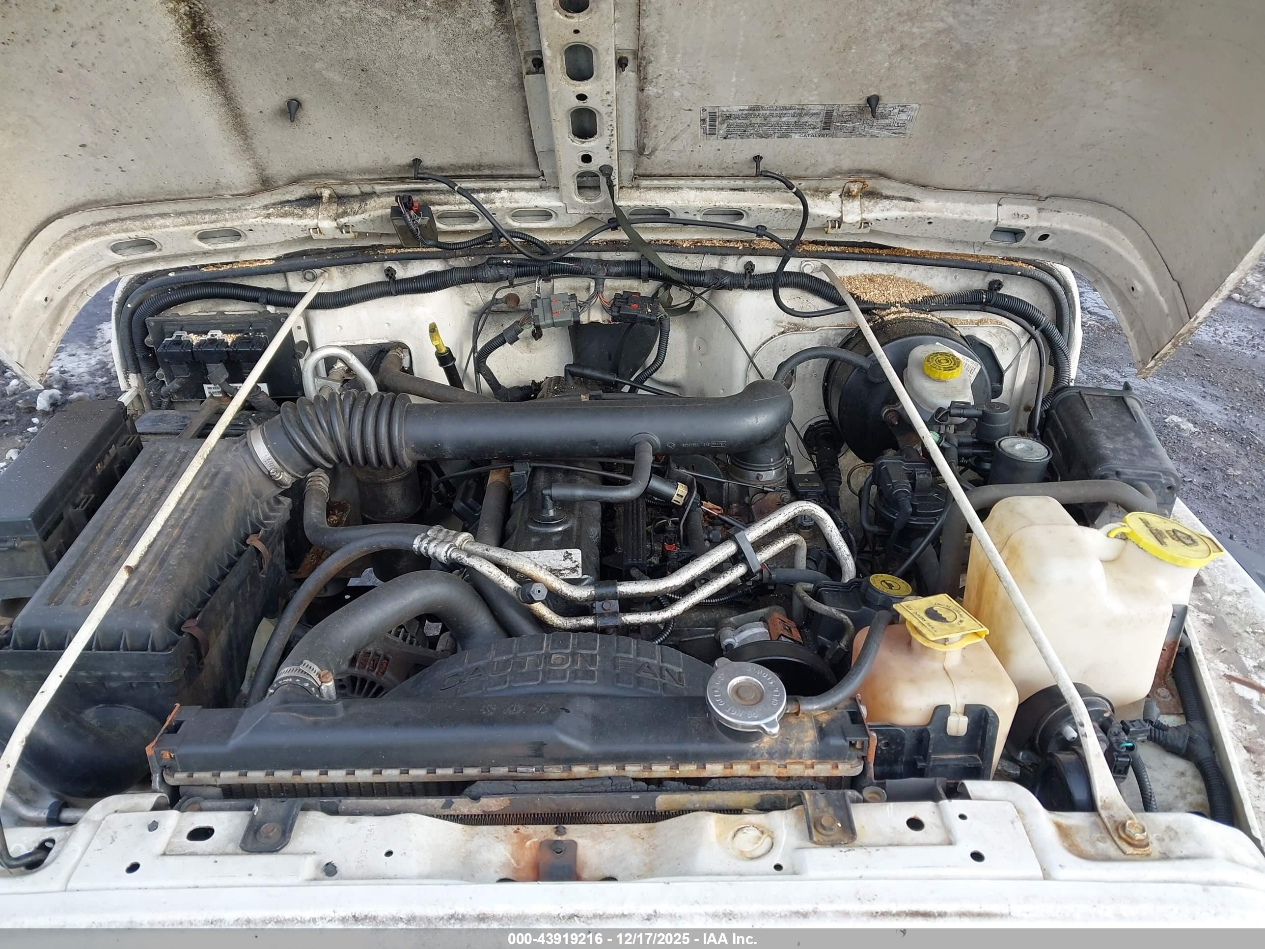 JEEP WRANGLER image 10