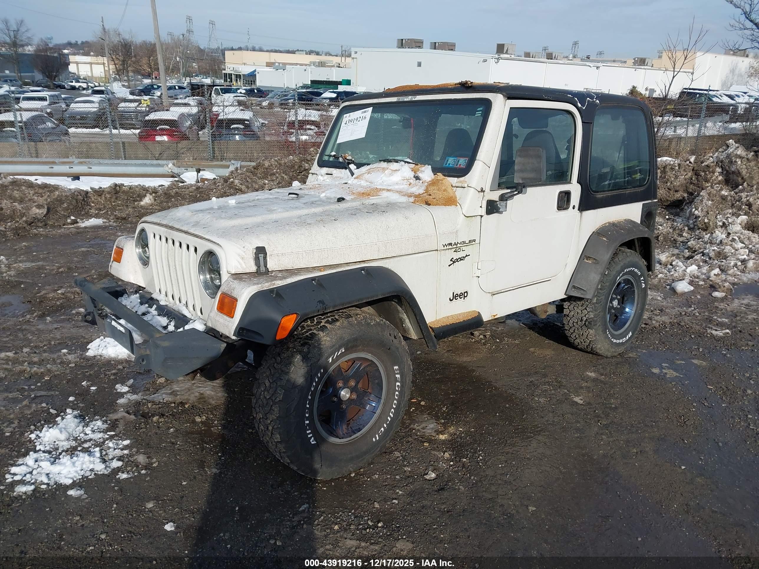 JEEP WRANGLER image 2