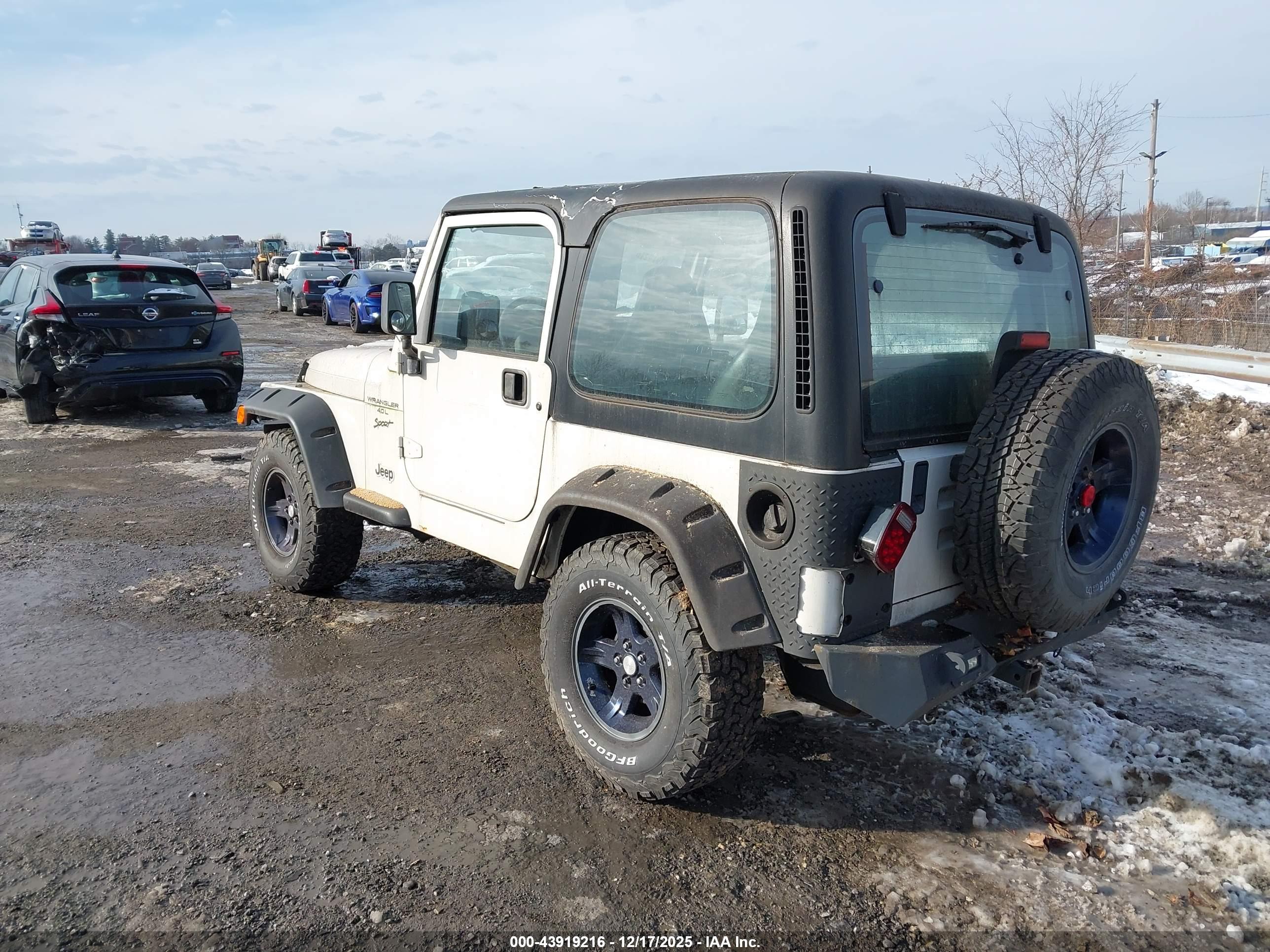 JEEP WRANGLER image 3