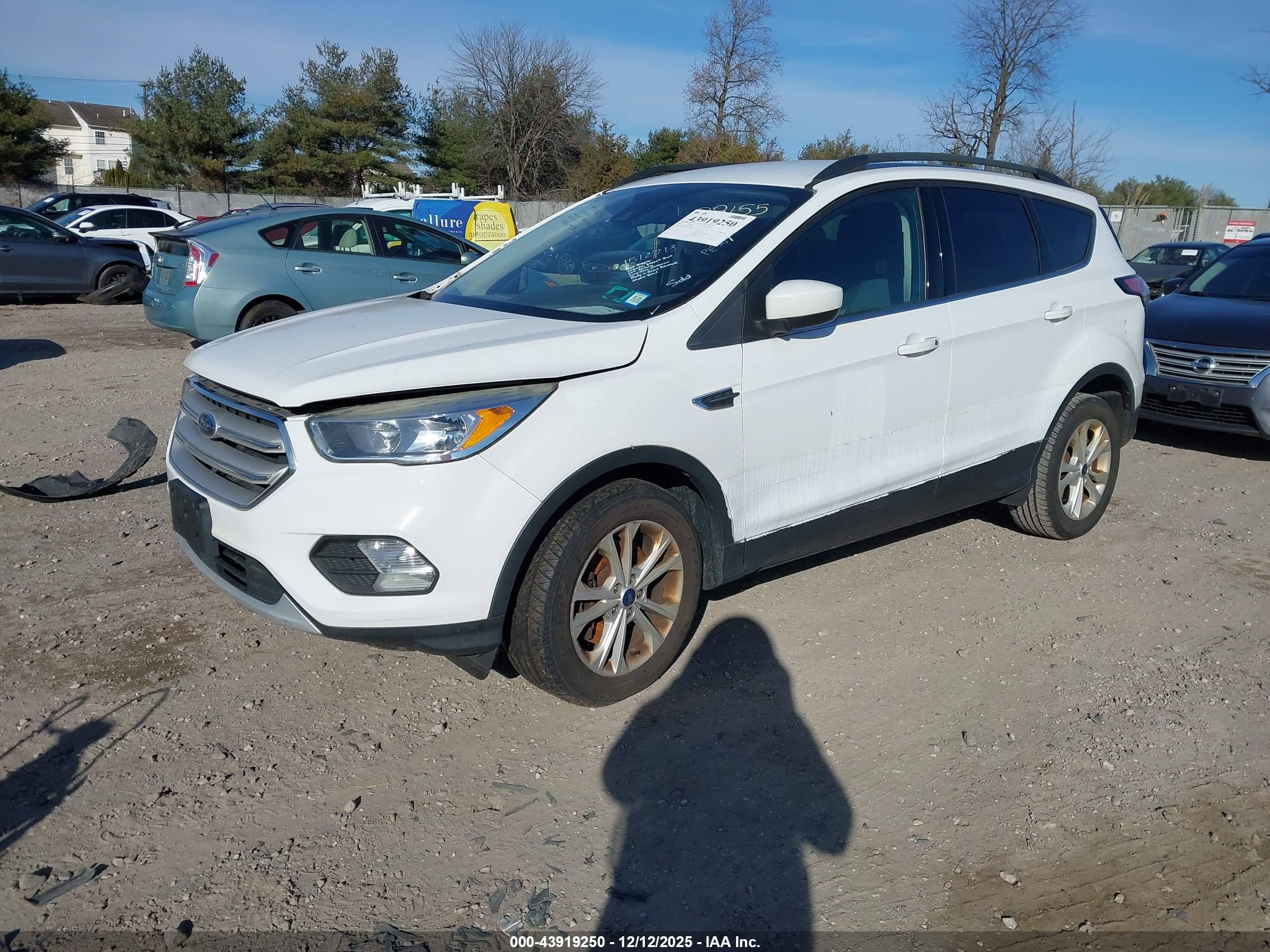 FORD ESCAPE image 2