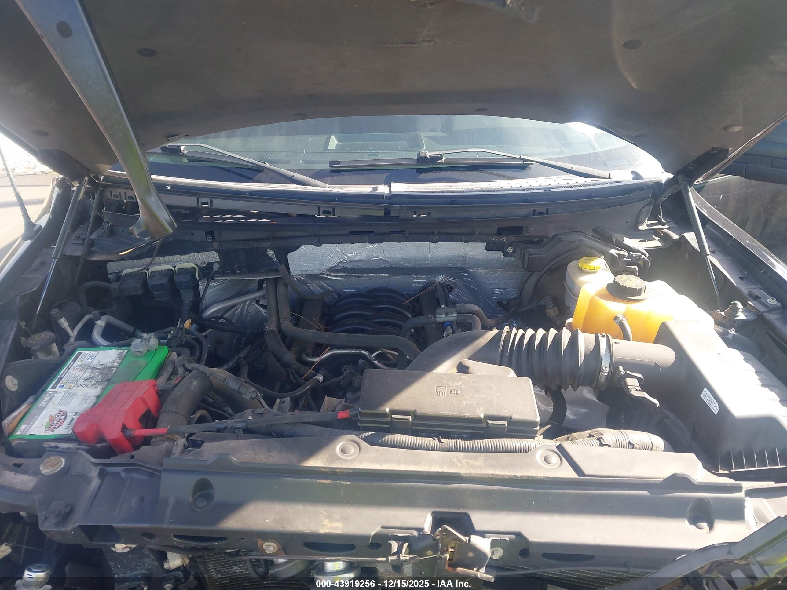 FORD F-150 image 10