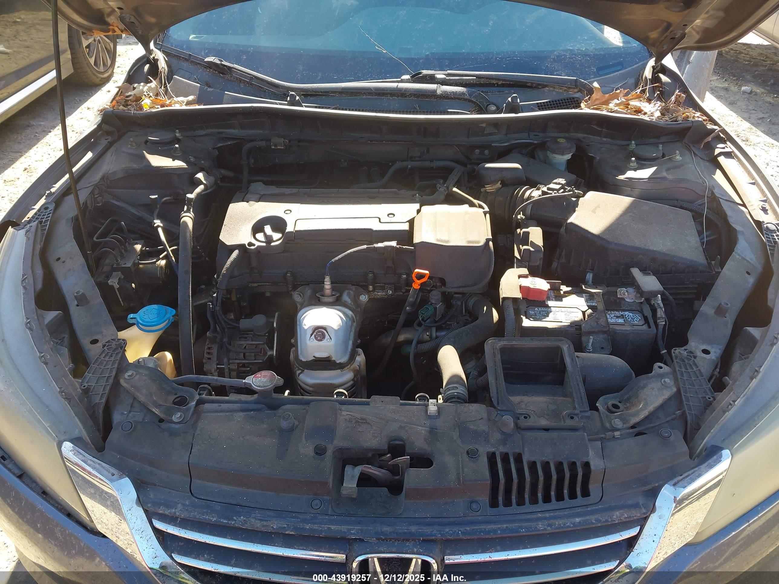 HONDA ACCORD image 10