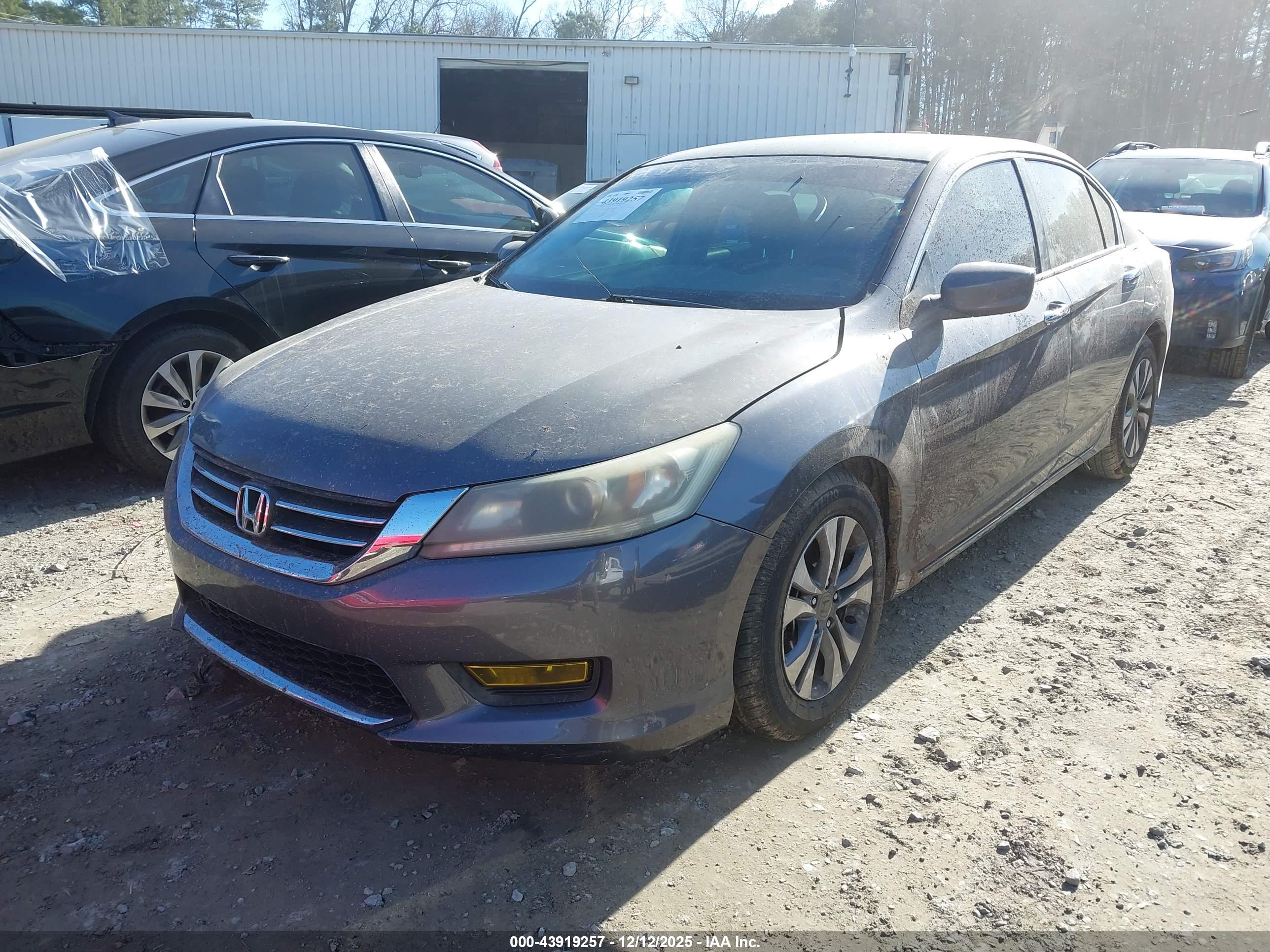 HONDA ACCORD image 2