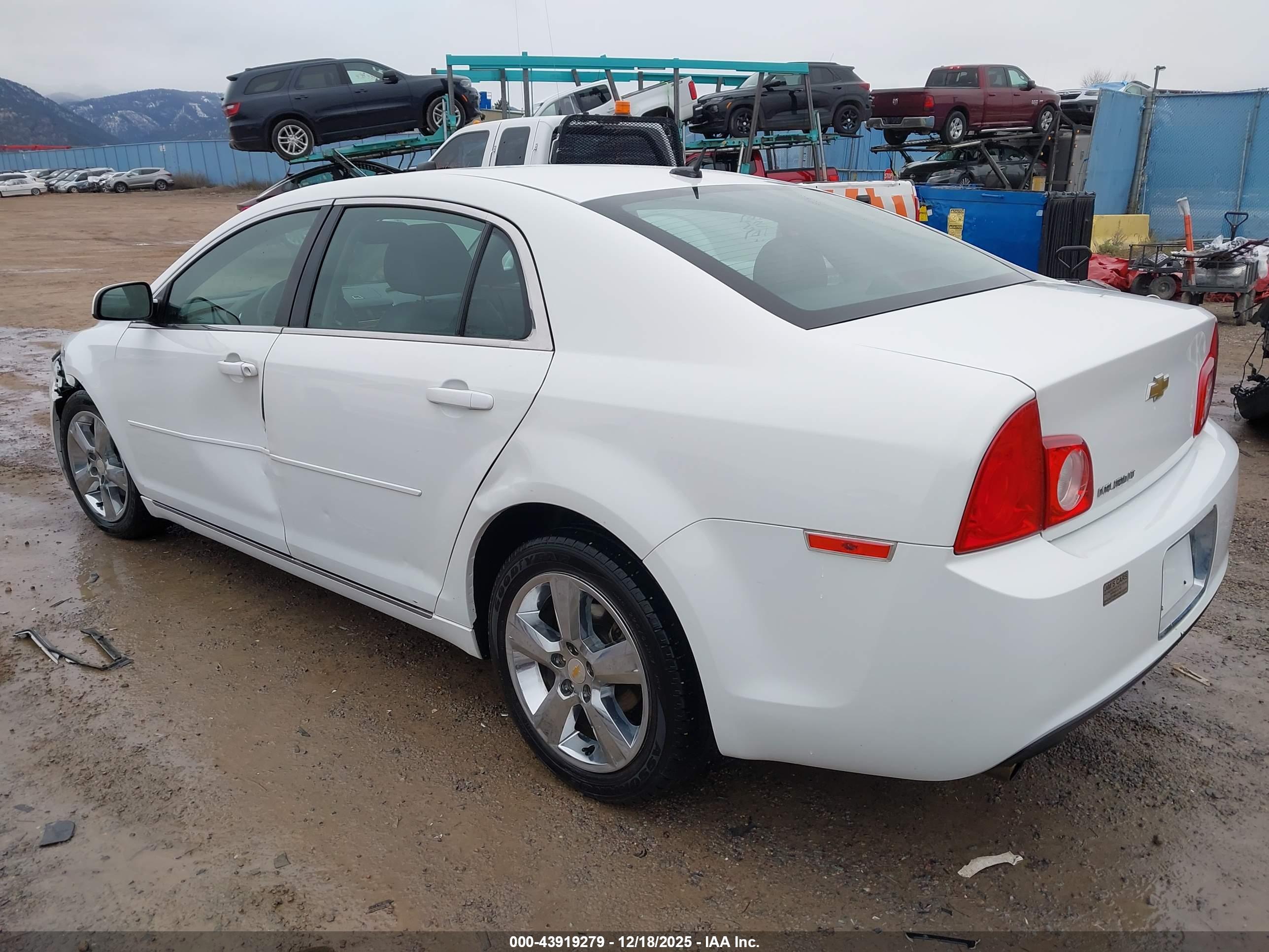 CHEVROLET MALIBU image 3
