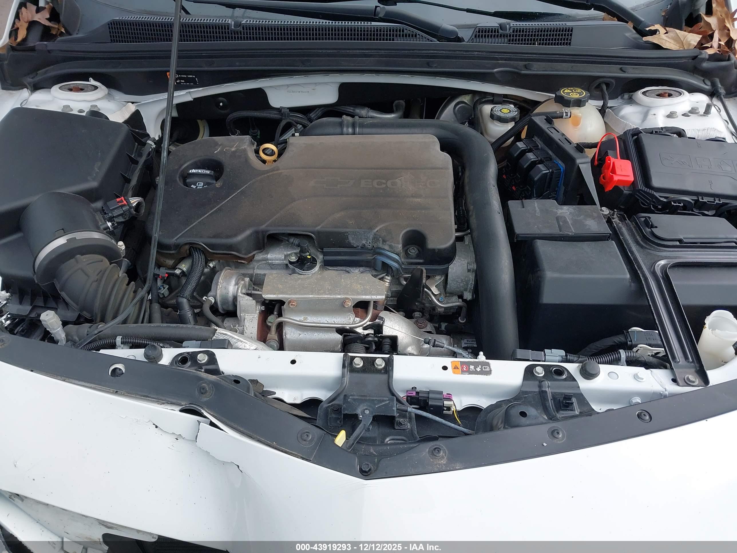 CHEVROLET MALIBU image 10