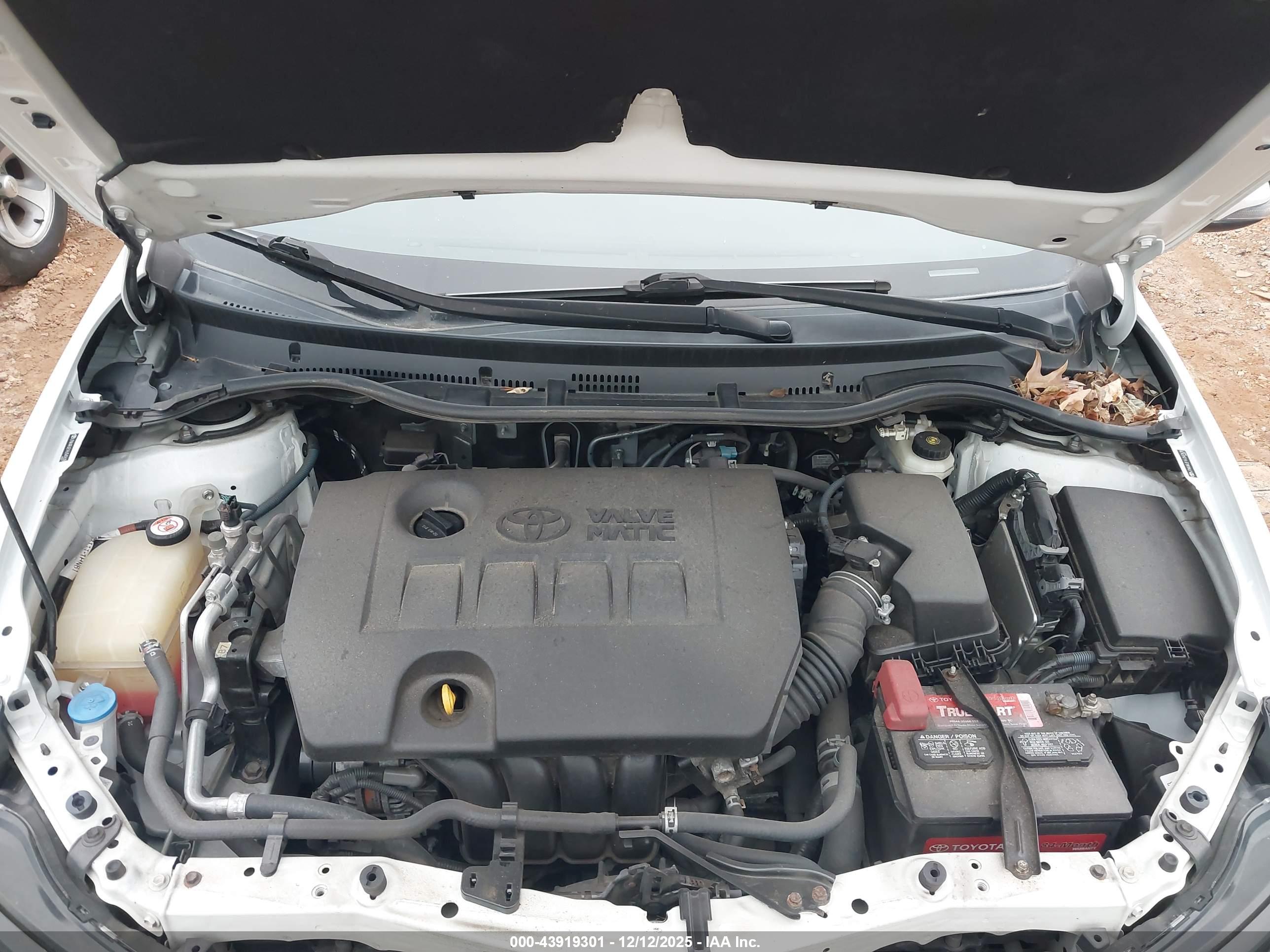 TOYOTA COROLLA image 10